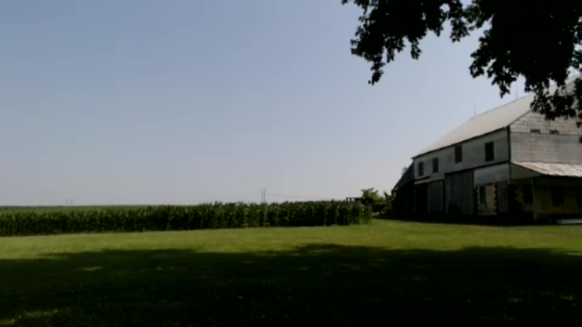 Gallery image thumbnail from FarmGirl__'s myfreecams stream on, 06/17/2024, 15:16 image 12 of 20
