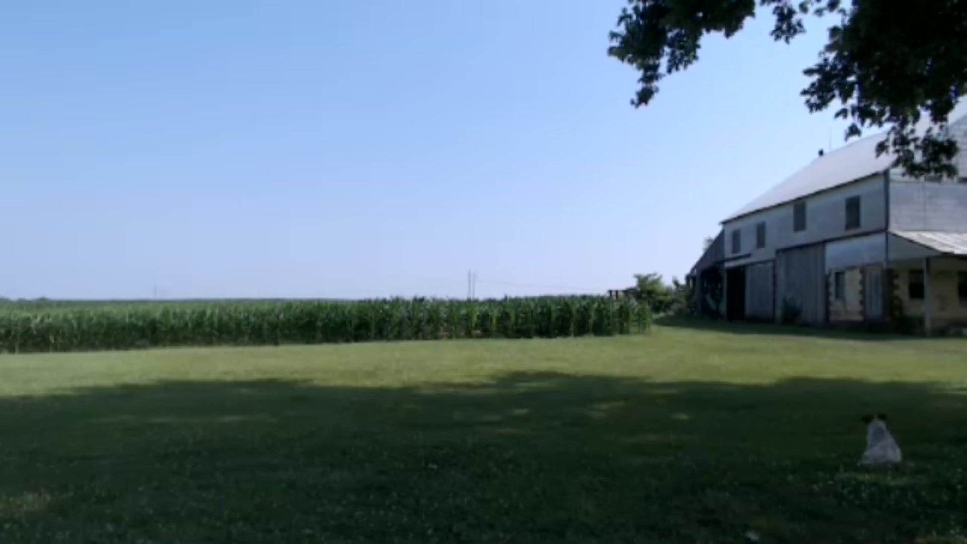 Gallery image thumbnail from FarmGirl__'s myfreecams stream on, 06/17/2024, 15:16 image 7 of 20