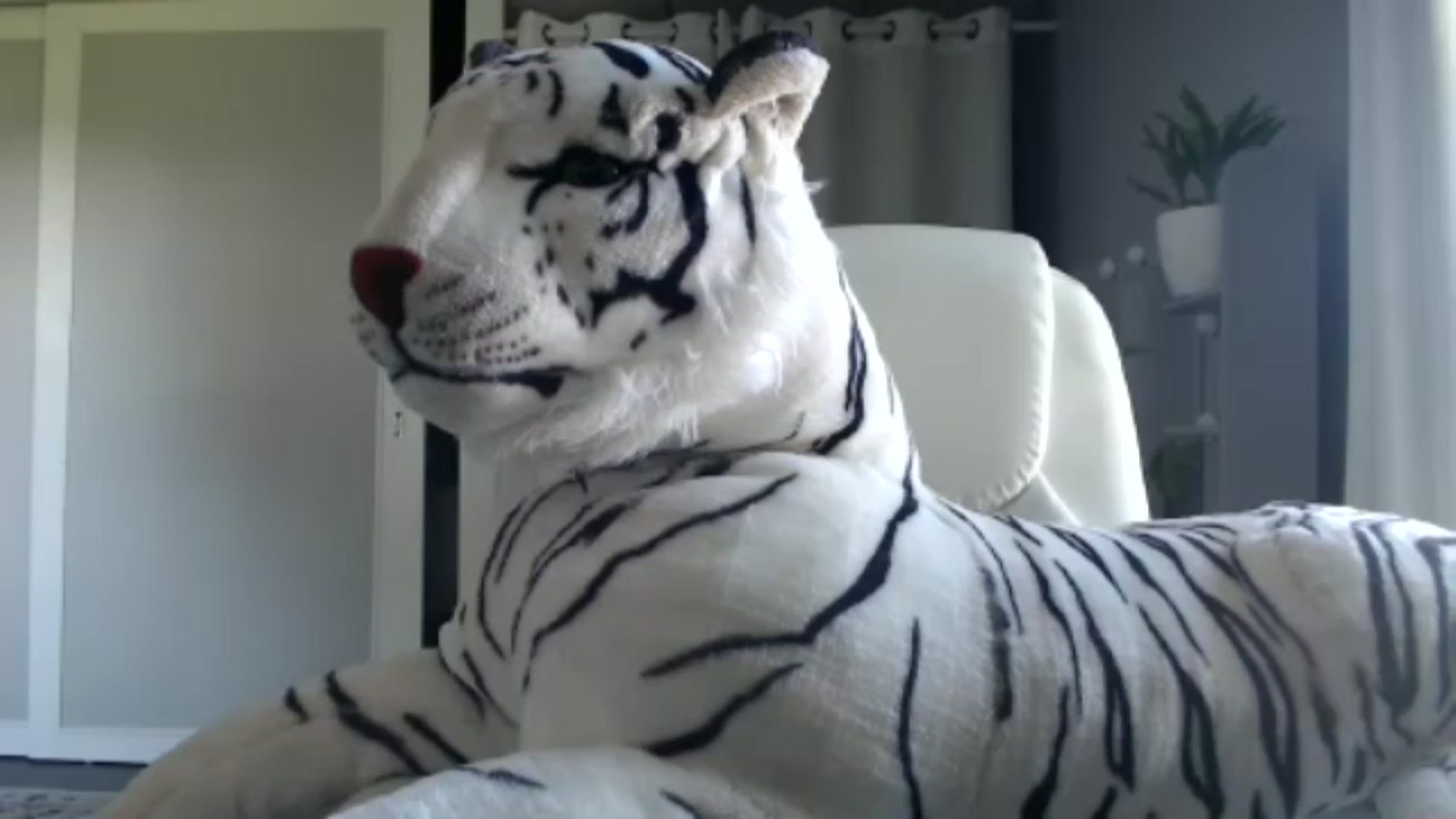 Gallery image thumbnail from FarmGirl__'s myfreecams stream on, 10/03/2024, 15:03 image 10 of 20