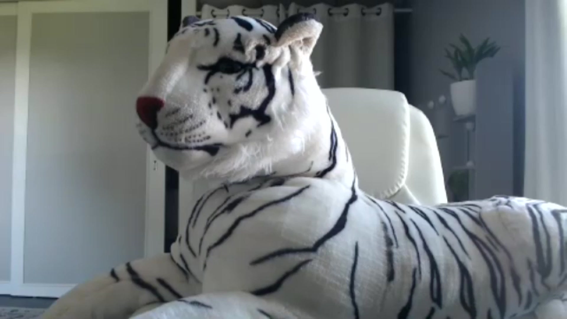 Gallery image thumbnail from FarmGirl__'s myfreecams stream on, 10/03/2024, 15:03 image 12 of 20