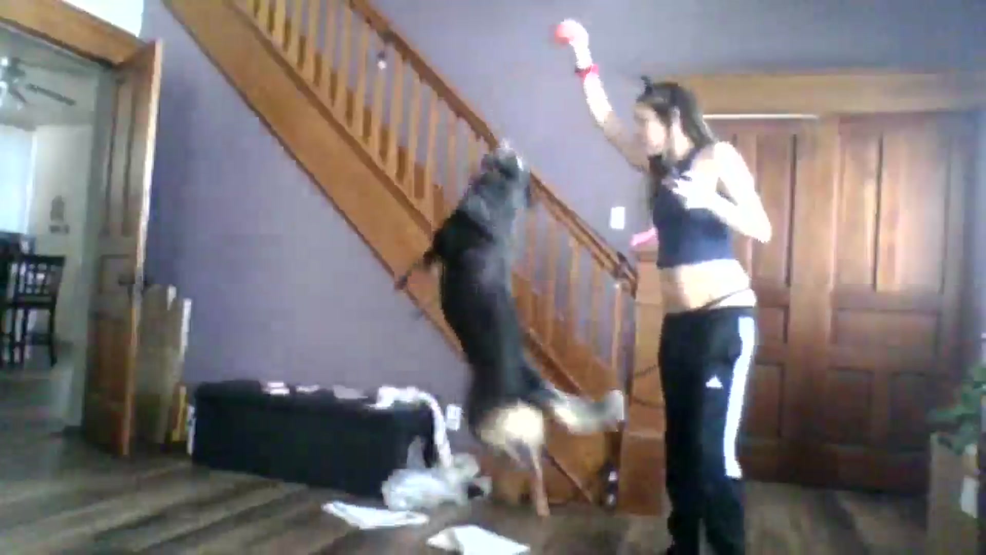Gallery image thumbnail from FarmGirl__'s myfreecams stream on, 01/16/2025, 18:53 image 14 of 20