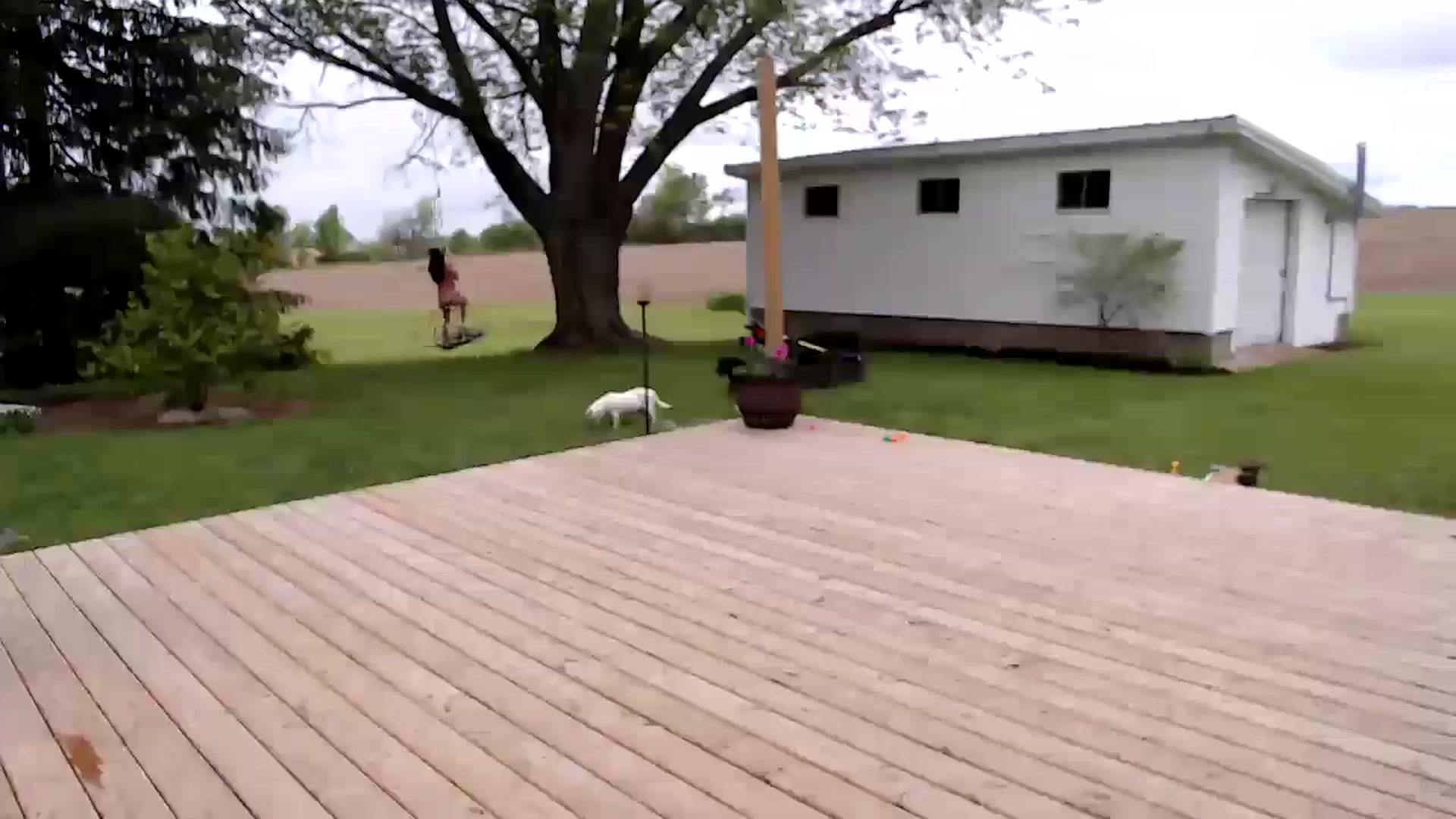 Gallery image thumbnail from FarmGirl__'s myfreecams stream on, 05/13/2025, 16:44 image 11 of 20