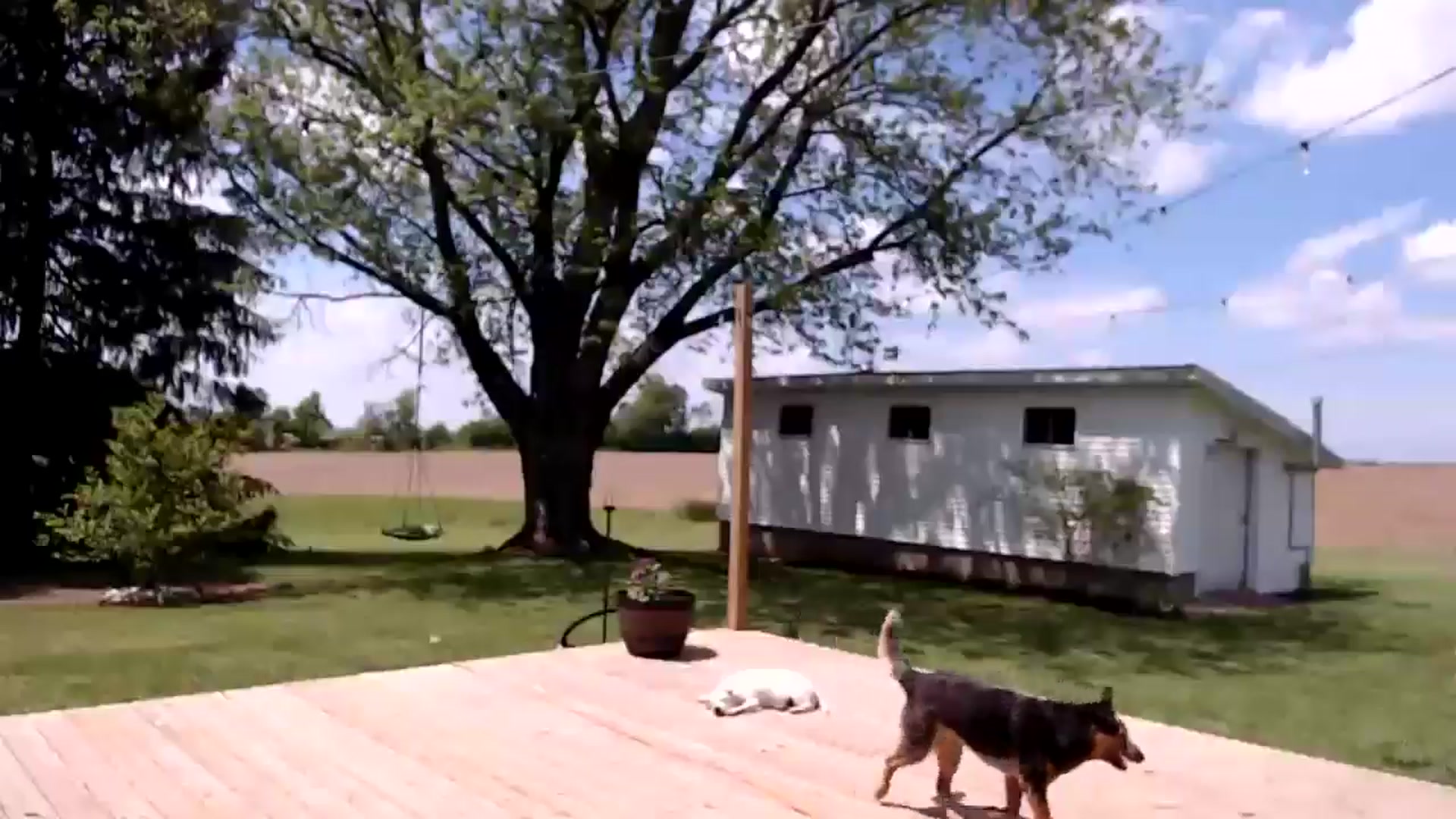 Gallery image thumbnail from FarmGirl__'s myfreecams stream on, 05/19/2025, 18:45 image 3 of 20