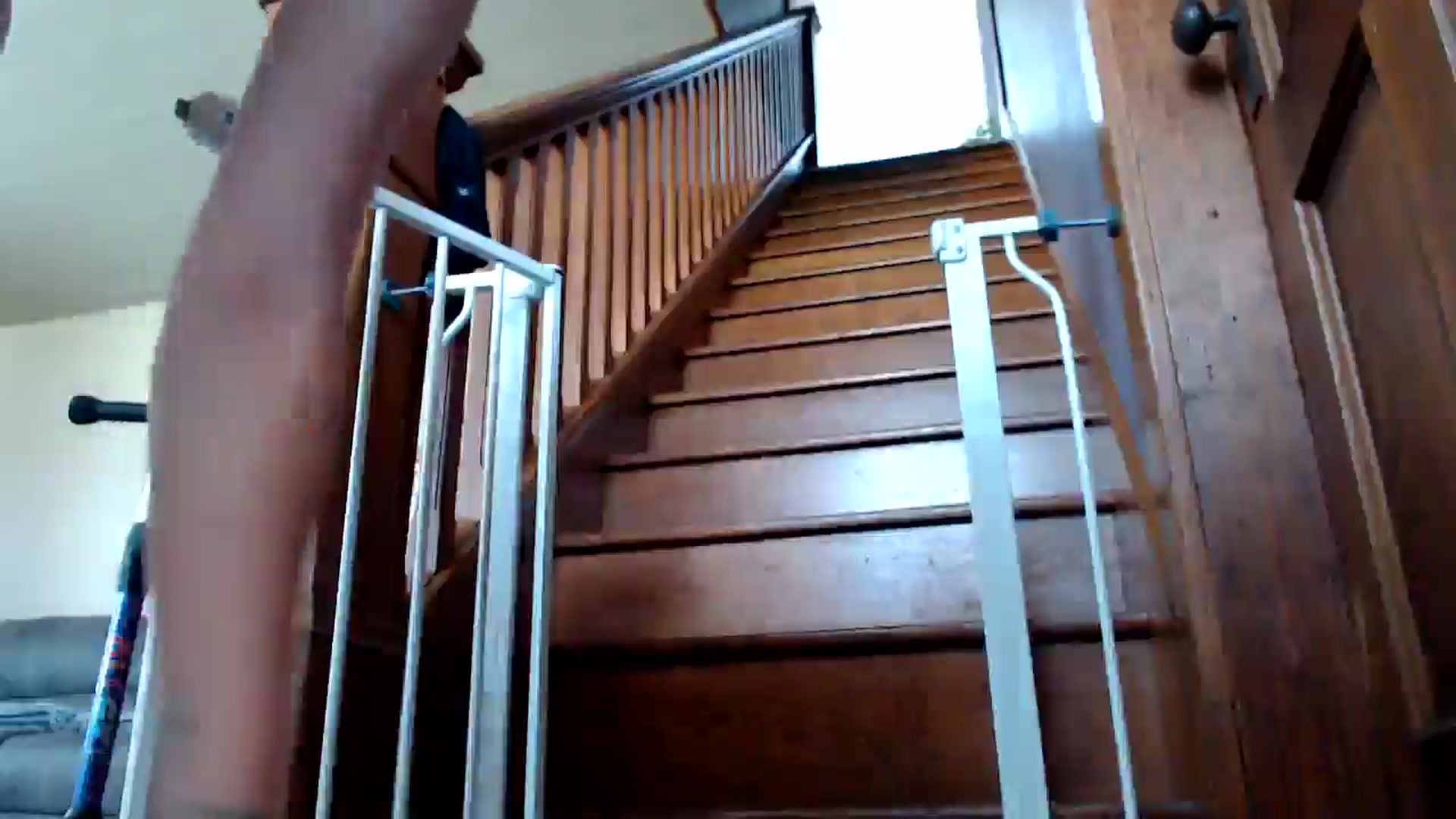 Gallery image thumbnail from FarmGirl__'s myfreecams stream on, 06/04/2025, 15:57 image 17 of 20