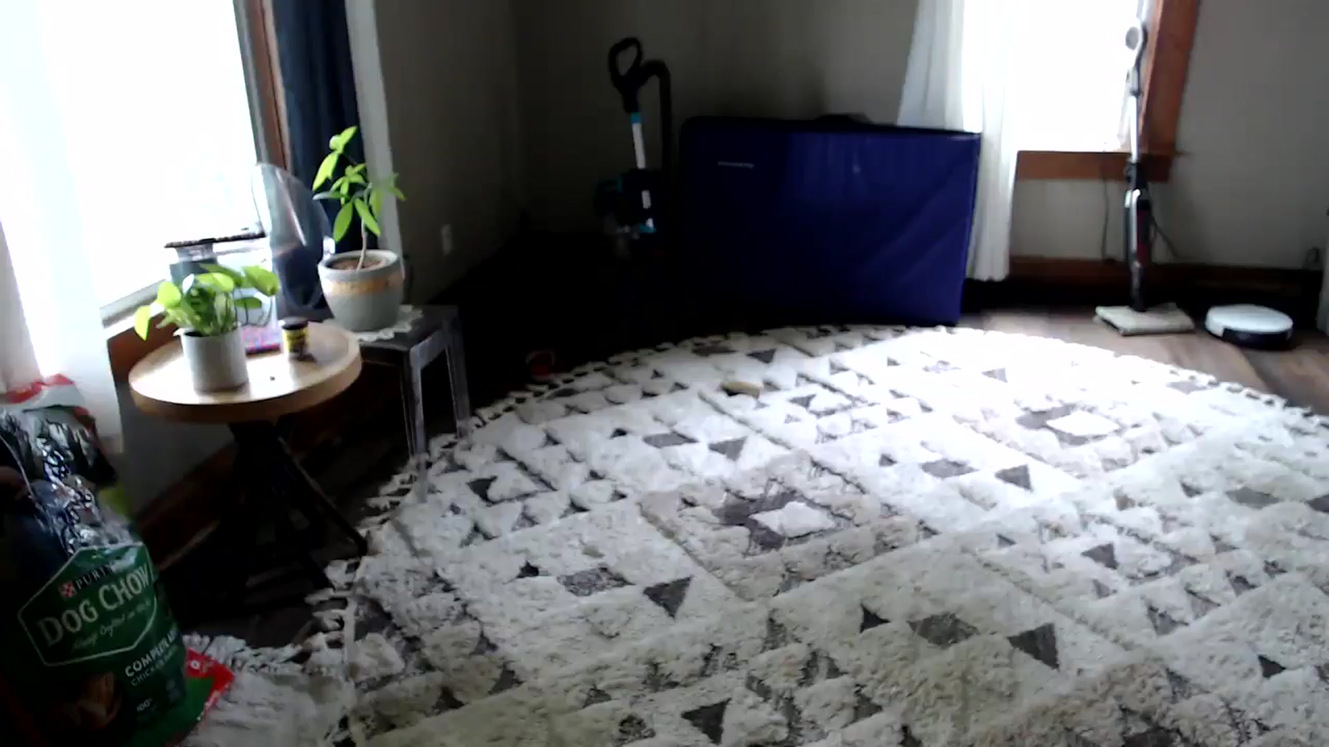 Gallery image thumbnail from FarmGirl__'s myfreecams stream on, 07/29/2025, 18:09 image 8 of 20
