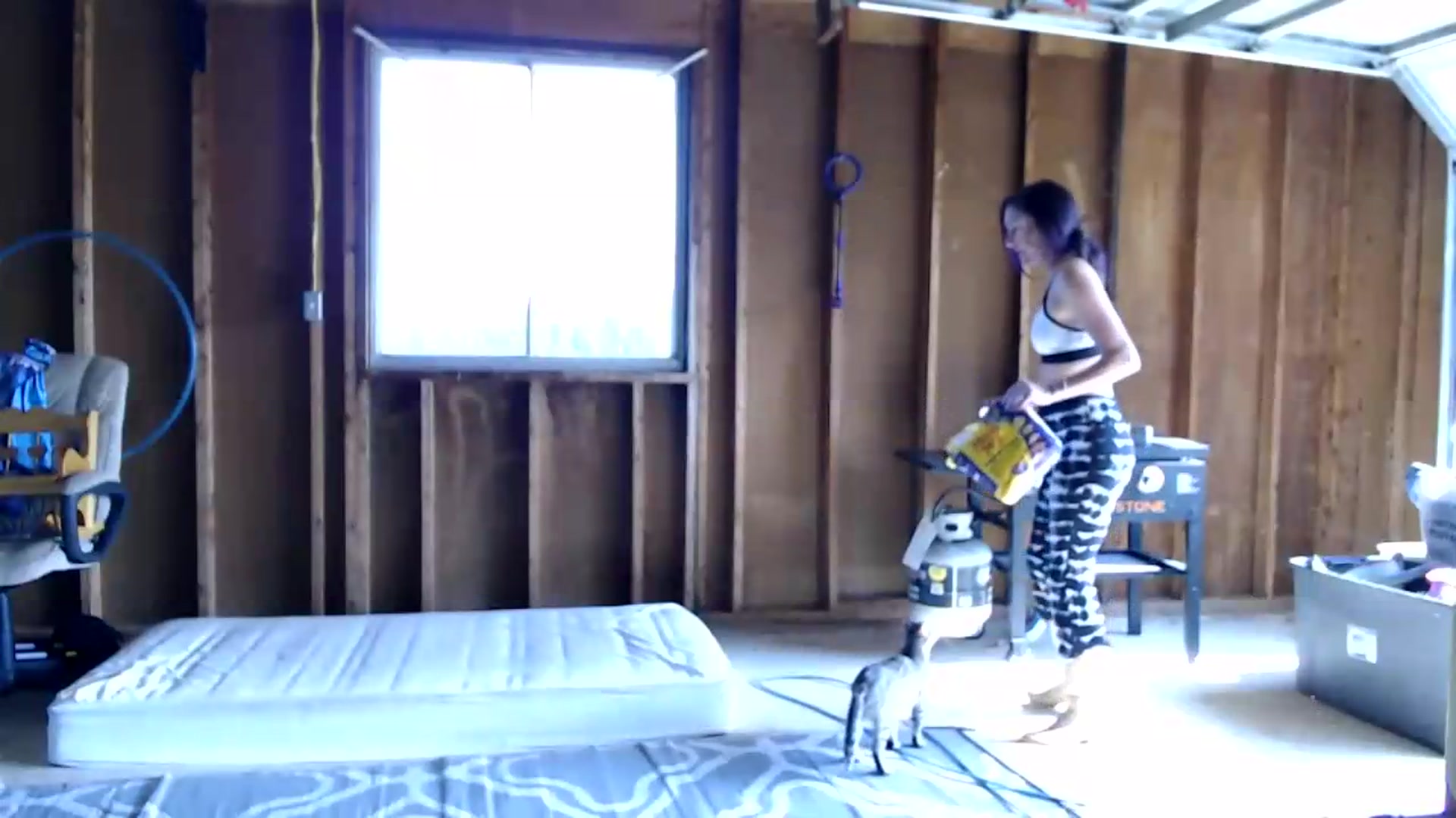 Gallery image thumbnail from FarmGirl__'s myfreecams stream on, 08/13/2026, 15:03 image 2 of 20