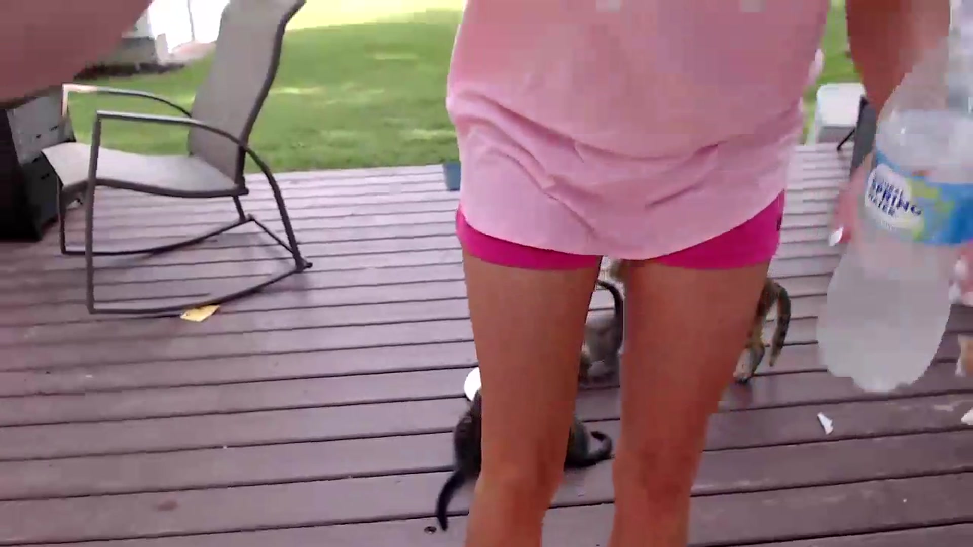 Gallery image thumbnail from FarmGirl__'s myfreecams stream on, 08/19/2026, 13:56 image 8 of 20
