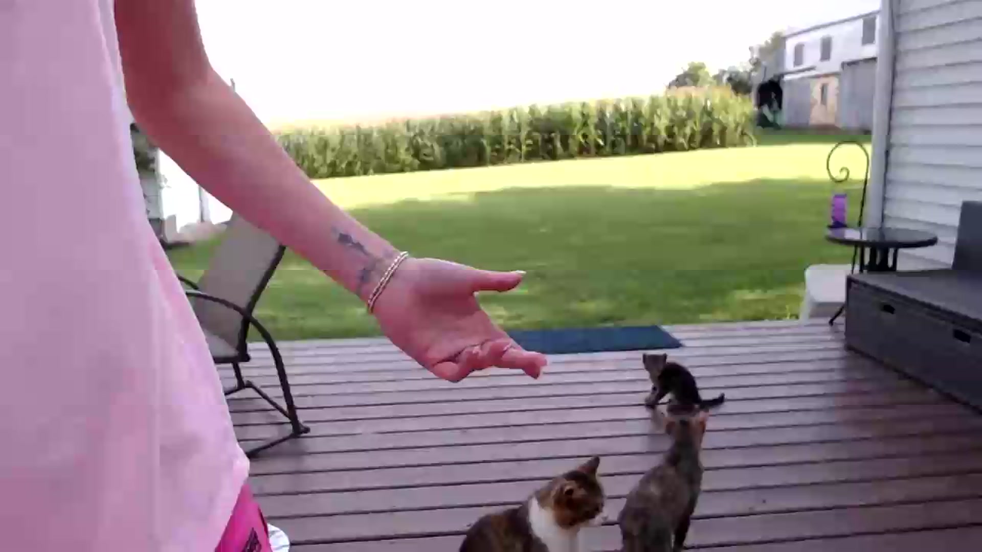 Gallery image thumbnail from FarmGirl__'s myfreecams stream on, 08/19/2026, 13:56 image 1 of 20