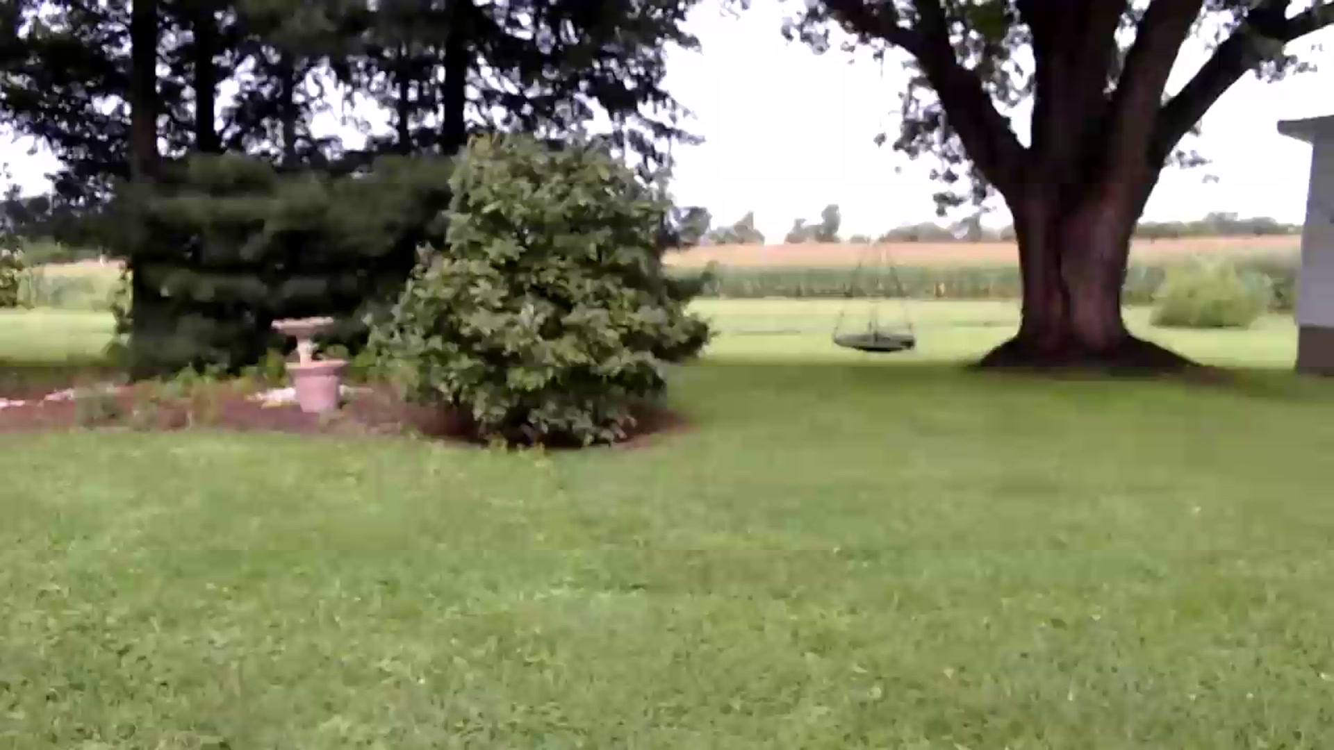 Gallery image thumbnail from FarmGirl__'s myfreecams stream on, 08/19/2026, 15:21 image 10 of 20