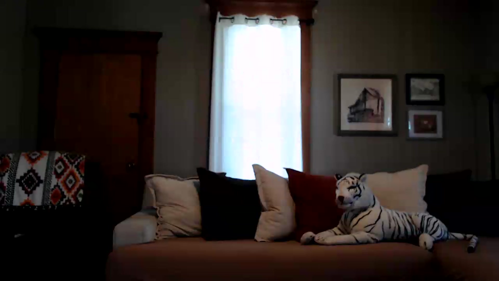 Gallery image thumbnail from FarmGirl__'s myfreecams stream on, 09/03/2026, 18:15 image 16 of 20