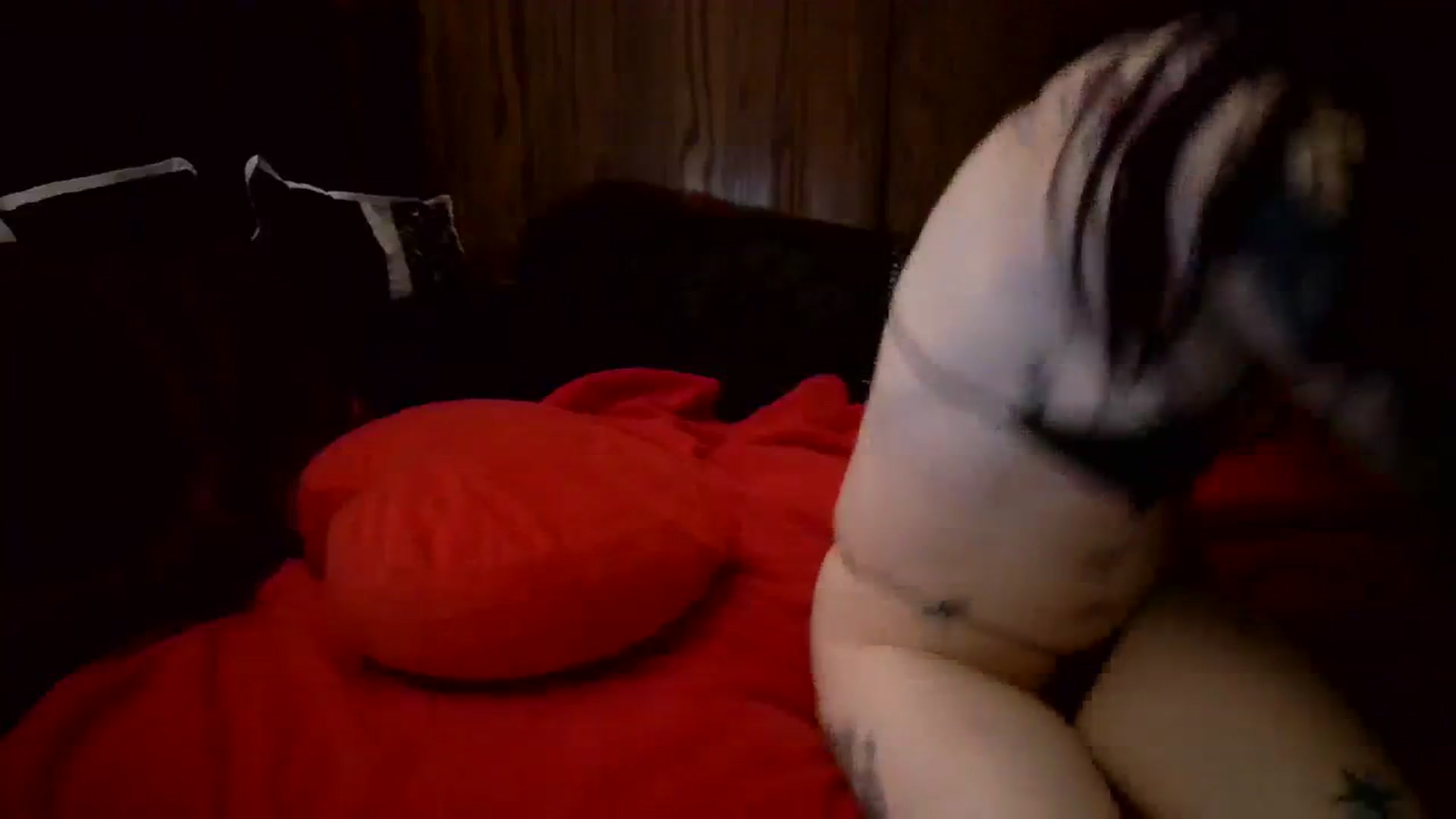 Gallery image thumbnail from FarrenFire's myfreecams stream on, 01/02/2024, 08:29 image 14 of 20
