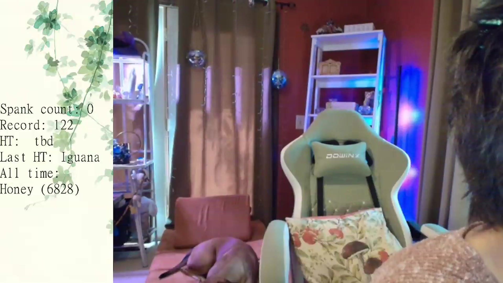Gallery image thumbnail from FawneFaeBabe's myfreecams stream on, 09/24/2026, 19:16 image 13 of 20