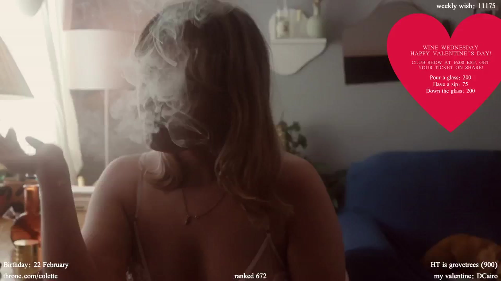 Gallery image thumbnail from Femme's myfreecams stream on, 02/14/2024, 22:01 image 16 of 20
