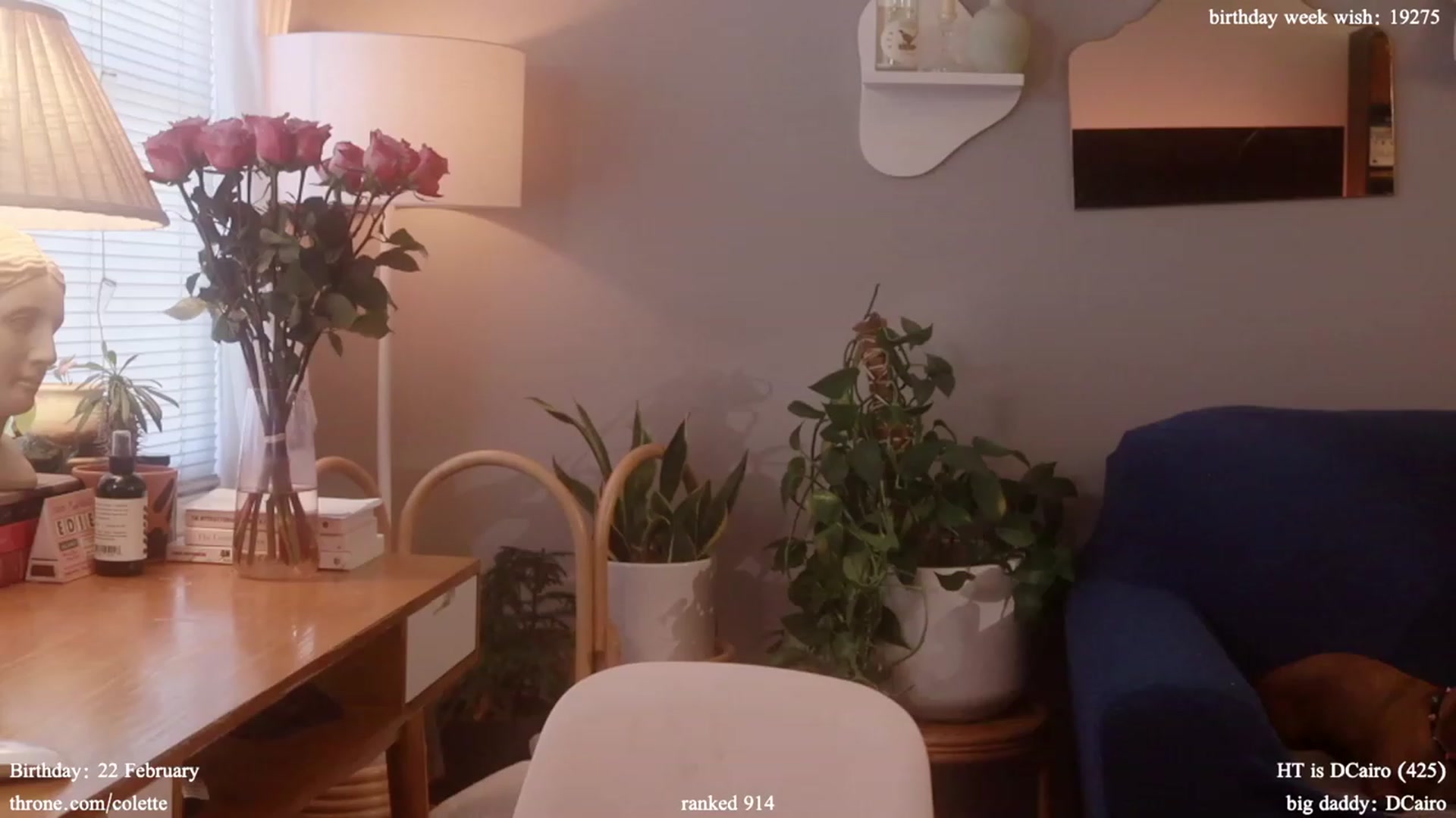 Gallery image thumbnail from Femme's myfreecams stream on, 02/19/2024, 19:42 image 4 of 20