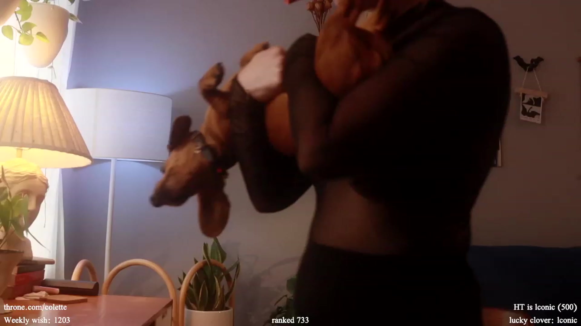 Gallery image thumbnail from Femme's myfreecams stream on, 03/08/2024, 20:45 image 16 of 20