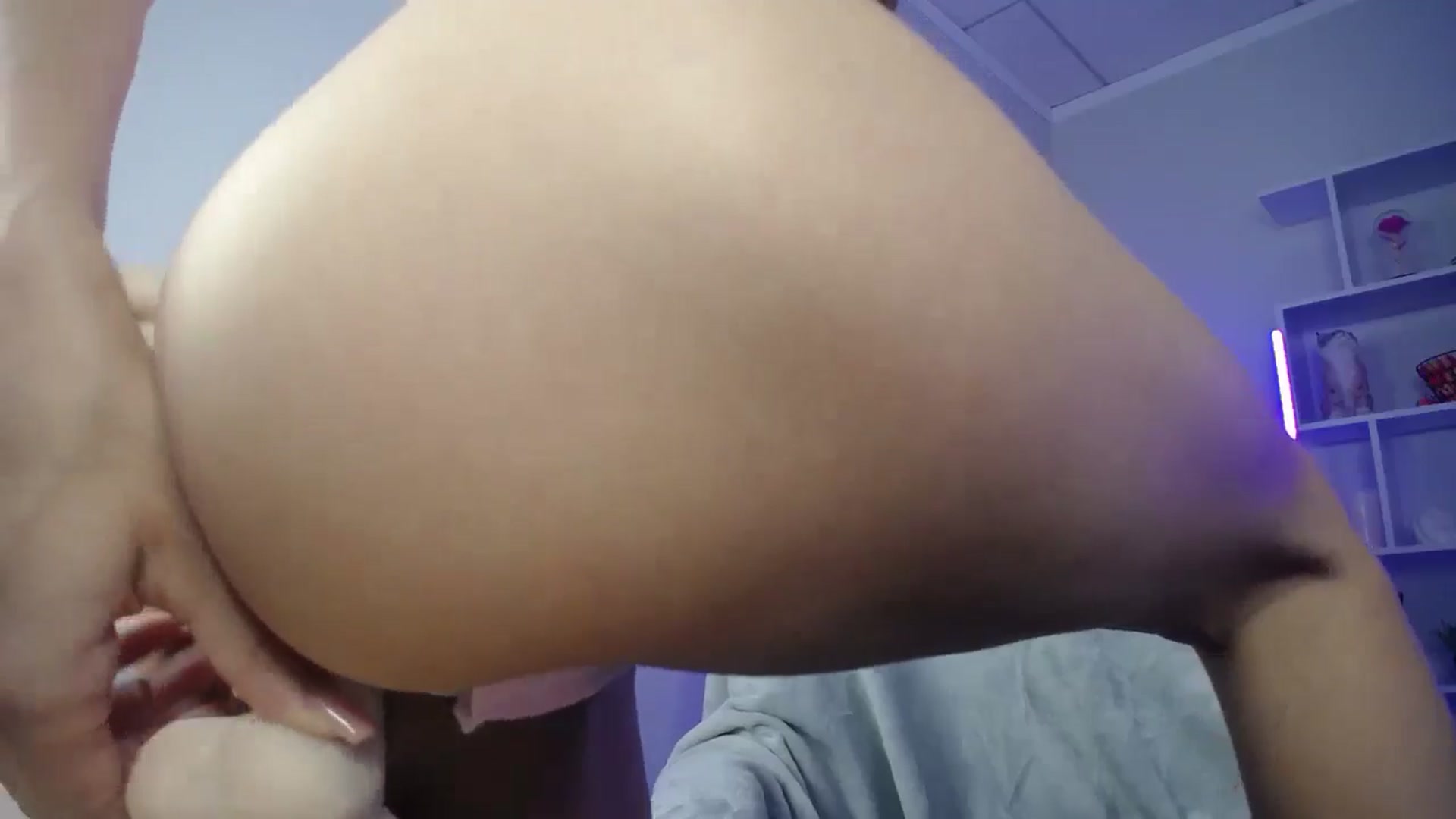Gallery image thumbnail from FeraBerry's myfreecams stream on, 09/01/2024, 11:51 image 7 of 20