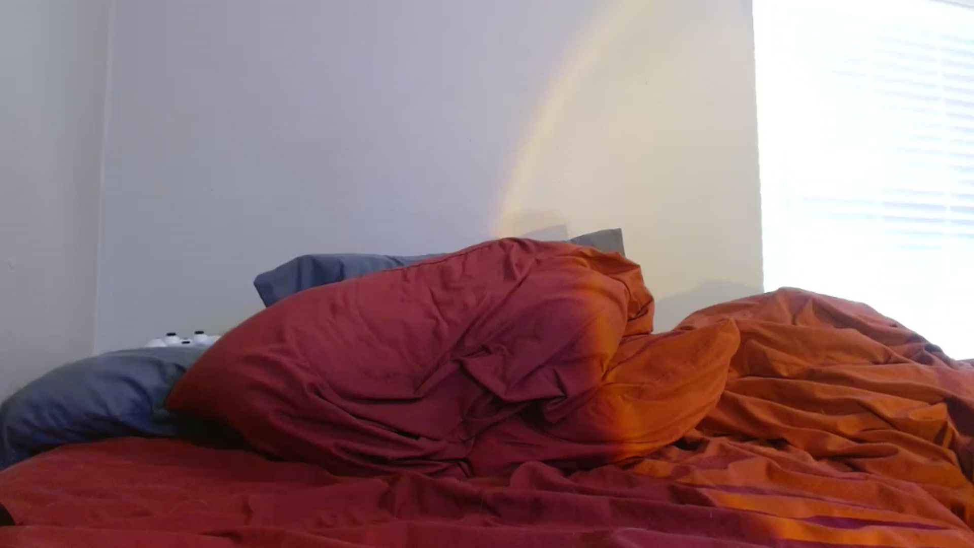 Gallery image thumbnail from Feralbunny's myfreecams stream on, 08/27/2023, 15:04 image 15 of 20
