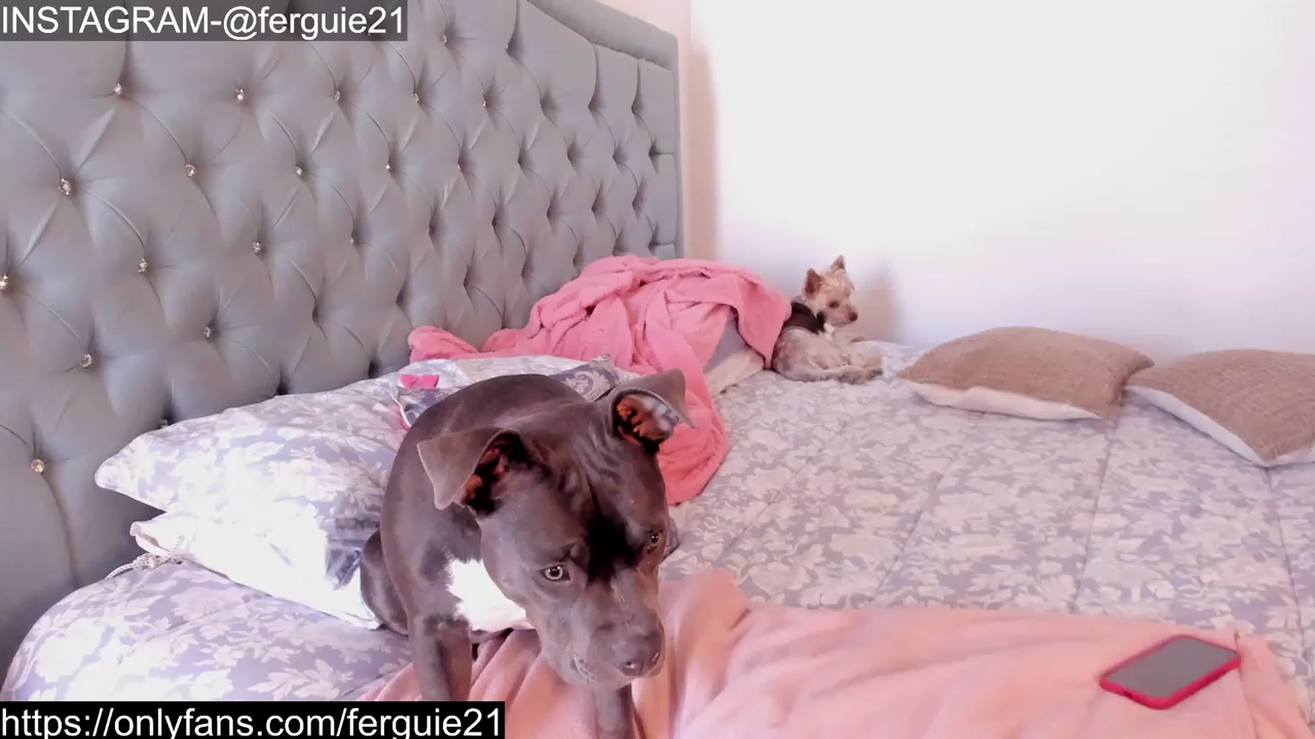 Gallery image thumbnail from Fergie_21's myfreecams stream on, 05/29/2023, 15:05 image 6 of 20