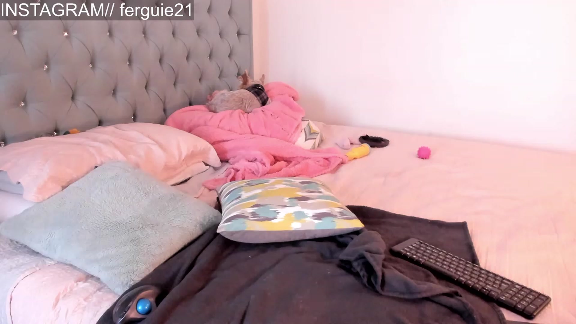 Gallery image thumbnail from Fergie_21's myfreecams stream on, 06/19/2023, 13:11 image 17 of 20