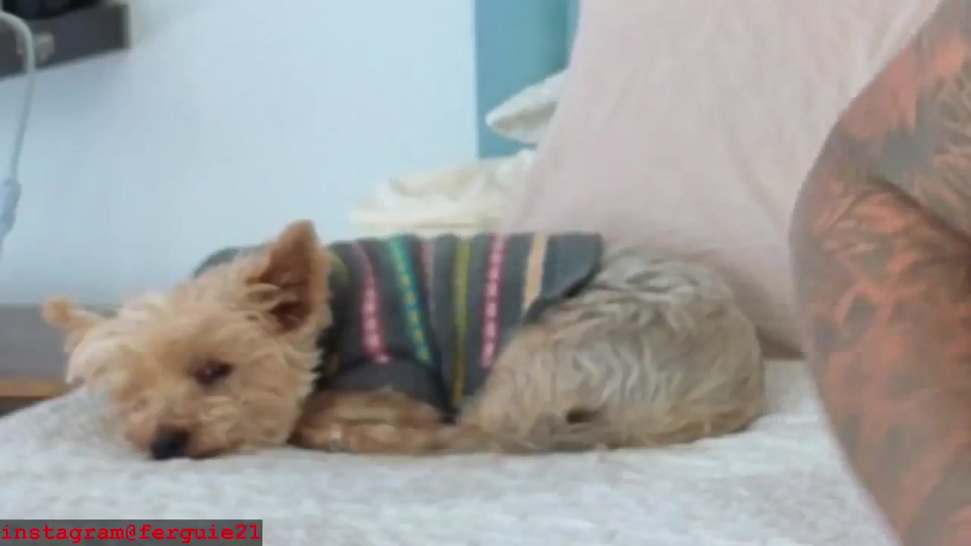 Gallery image thumbnail from Fergie_21's myfreecams stream on, 01/30/2026, 19:32 image 14 of 20