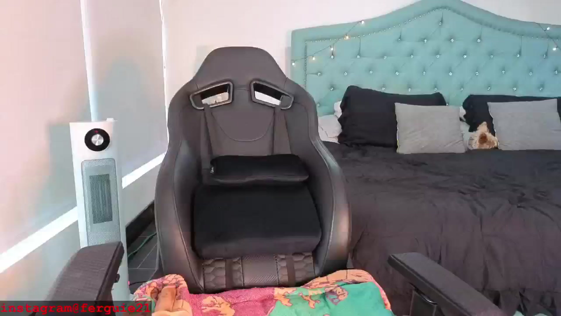 Gallery image thumbnail from Fergie_21's myfreecams stream on, 02/20/2026, 19:58 image 17 of 20