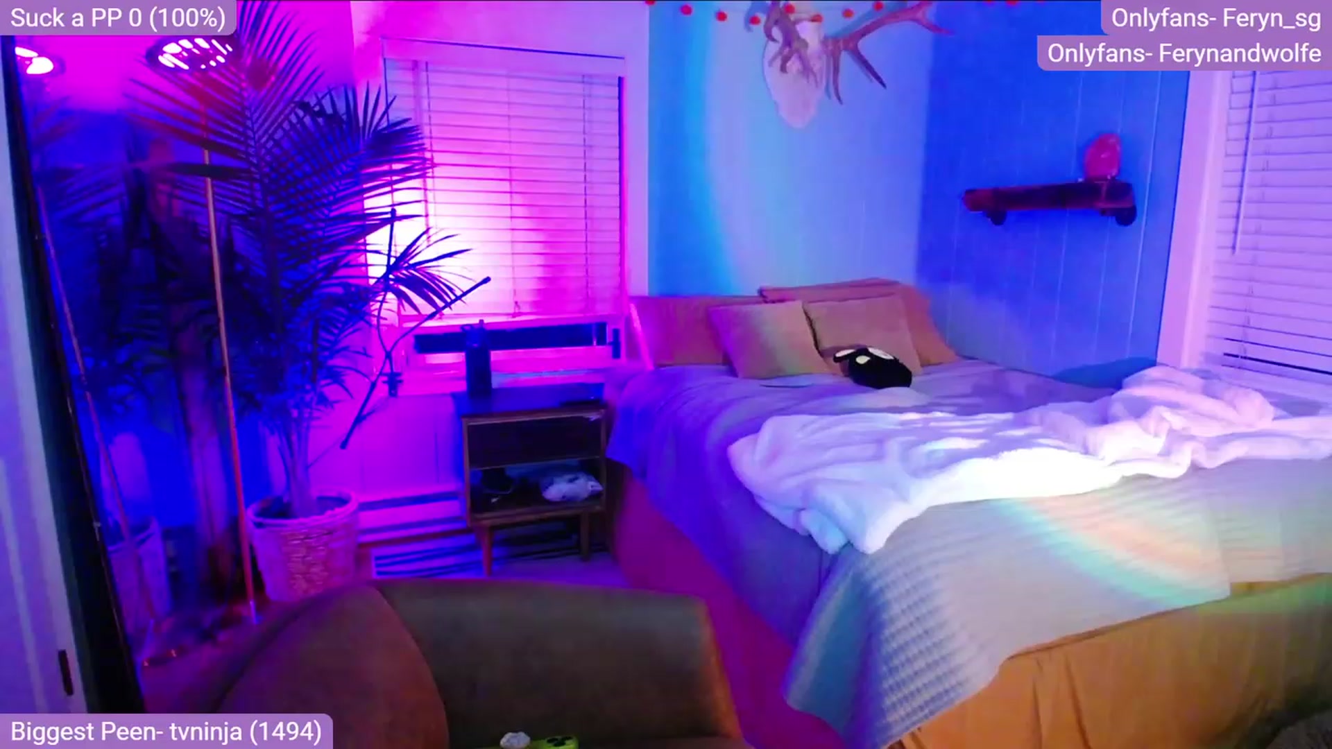 Gallery image thumbnail from Feryn_SG's myfreecams stream on, 11/23/2022, 07:50 image 20 of 20