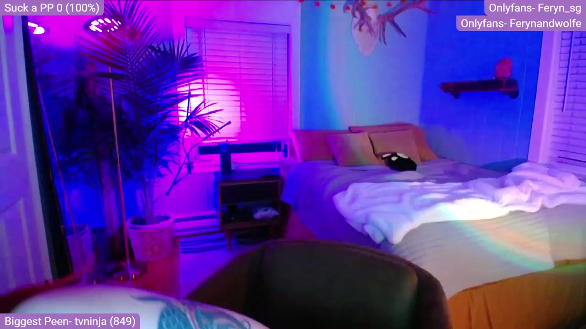 Gallery image thumbnail from Feryn_SG's myfreecams stream on, 11/23/2022, 07:50 image 2 of 20