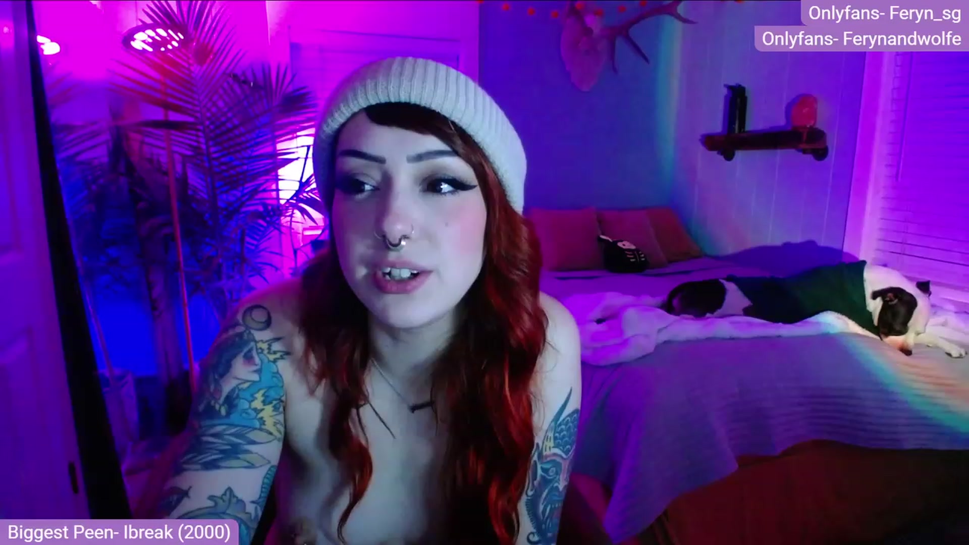 Gallery image thumbnail from Feryn_SG's myfreecams stream on, 11/28/2022, 05:55 image 19 of 20