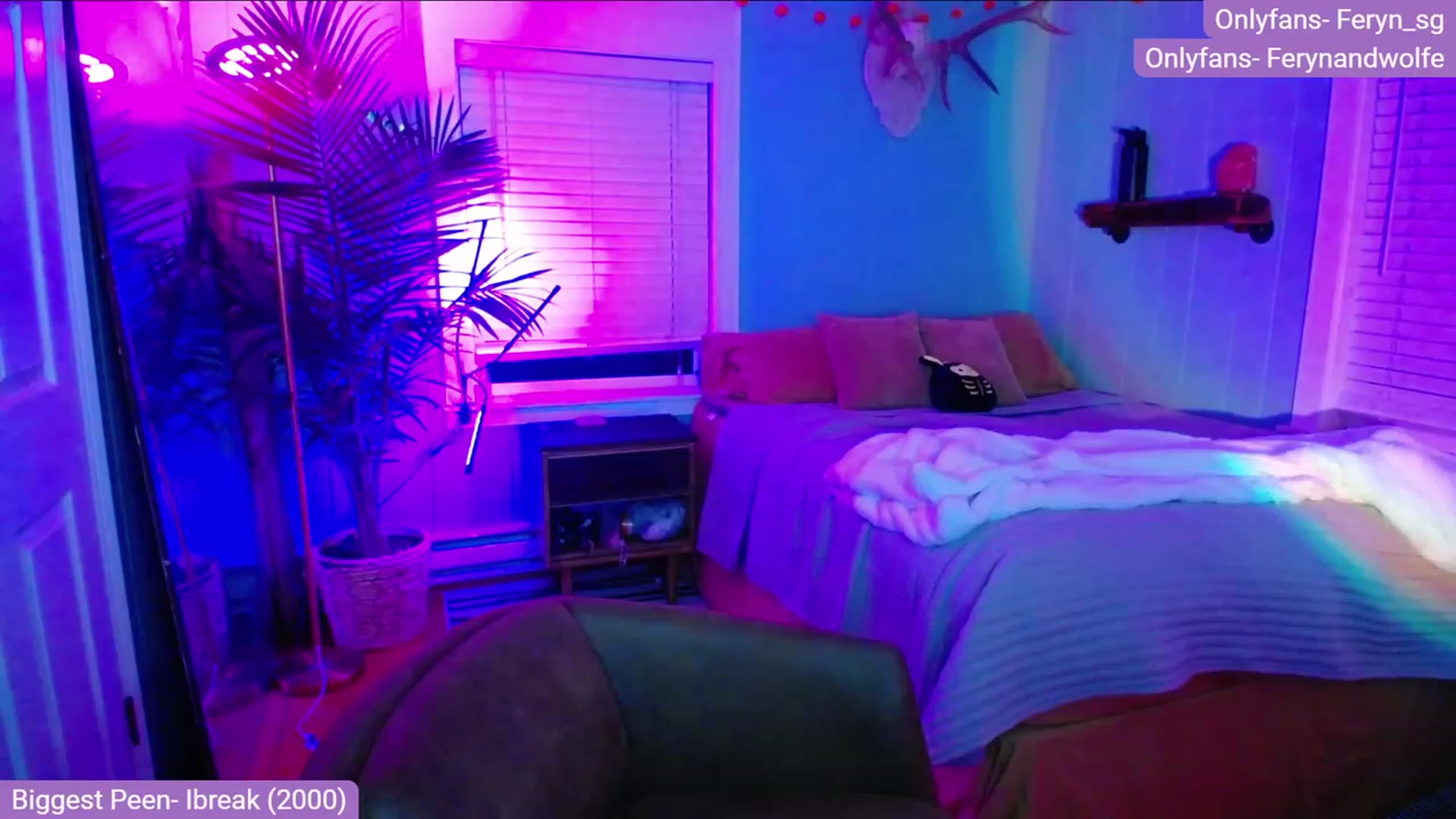 Gallery image thumbnail from Feryn_SG's myfreecams stream on, 11/28/2022, 07:00 image 16 of 20