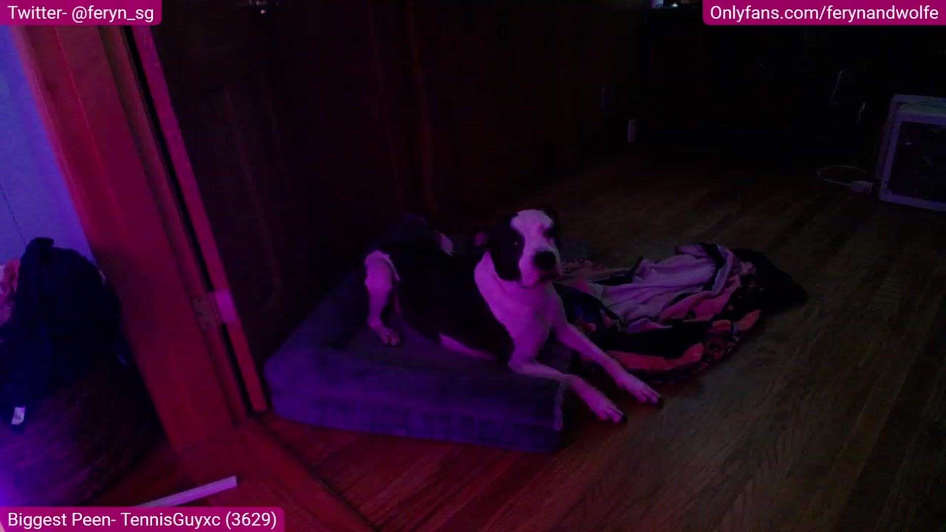 Gallery image thumbnail from Feryn_SG's myfreecams stream on, 07/24/2023, 02:40 image 15 of 20