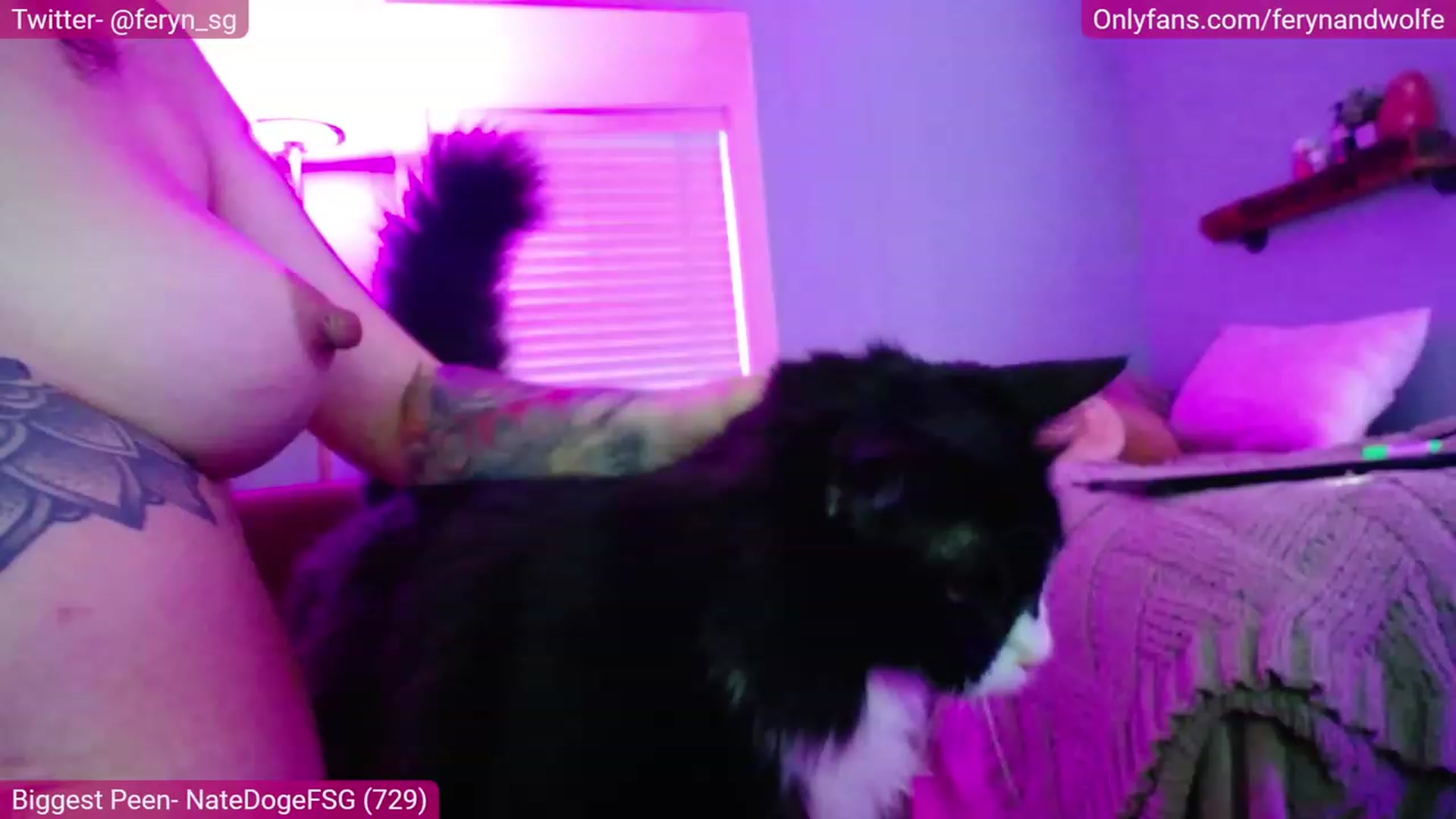 Gallery image thumbnail from Feryn_SG's myfreecams stream on, 08/01/2023, 02:02 image 19 of 20