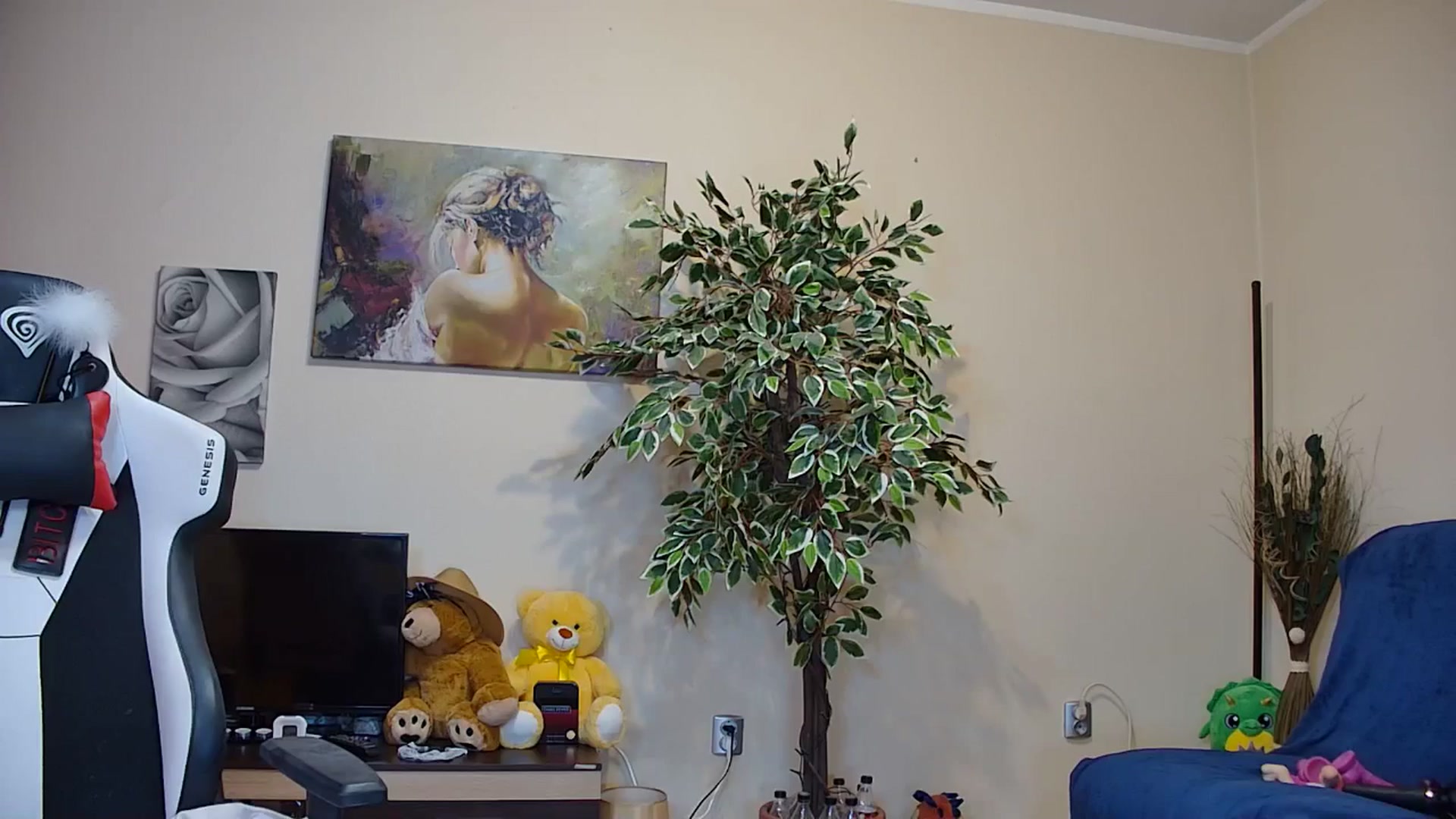 Gallery image thumbnail from Fiama77's myfreecams stream on, 04/29/2025, 05:24 image 11 of 20