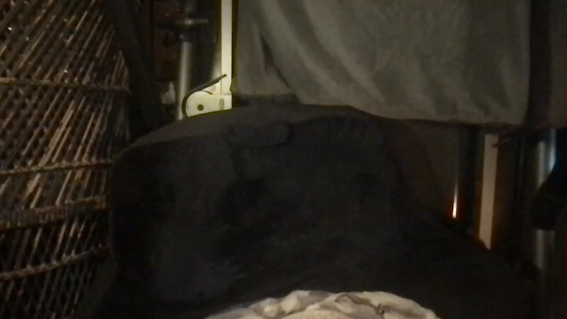 Gallery image thumbnail from Fifilarue1313's myfreecams stream on, 12/11/2022, 14:53 image 16 of 20