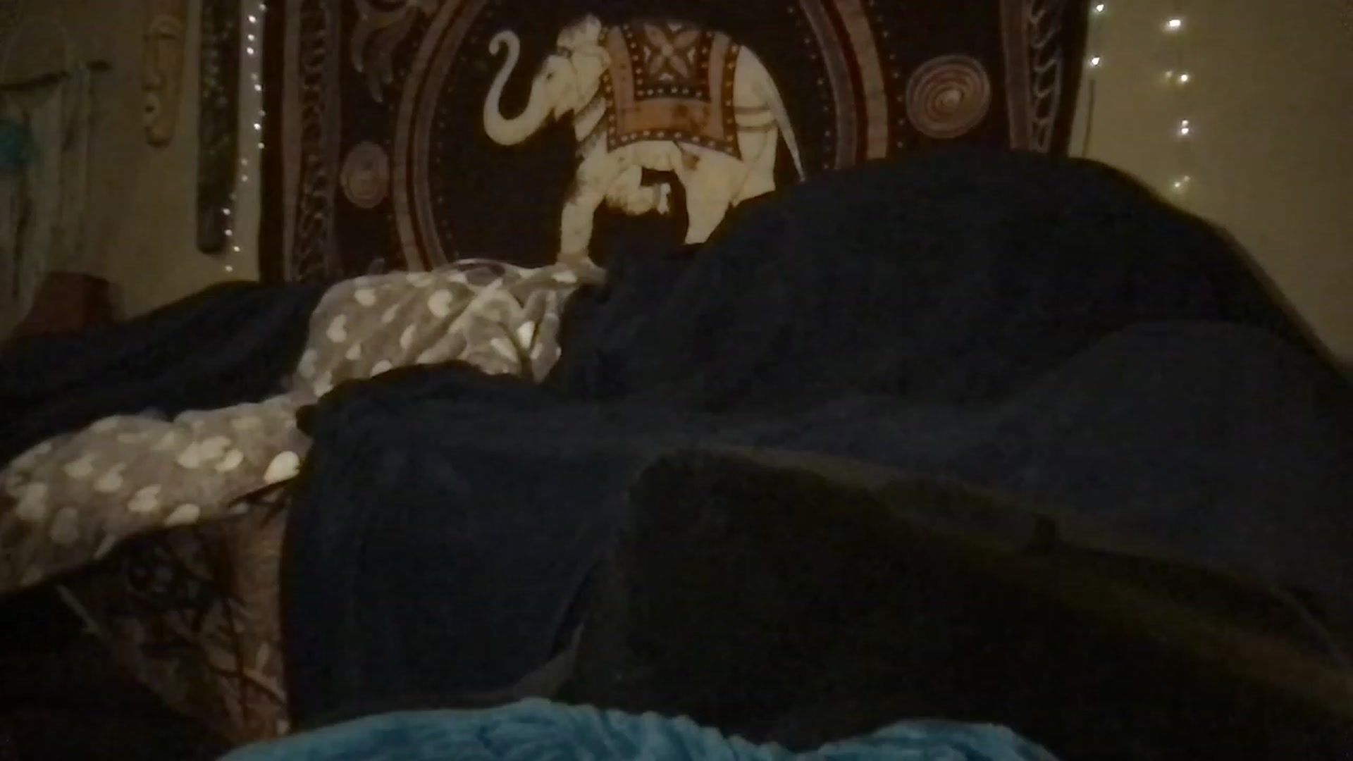 Gallery image thumbnail from Fifilarue1313's myfreecams stream on, 03/12/2023, 11:46 image 16 of 20