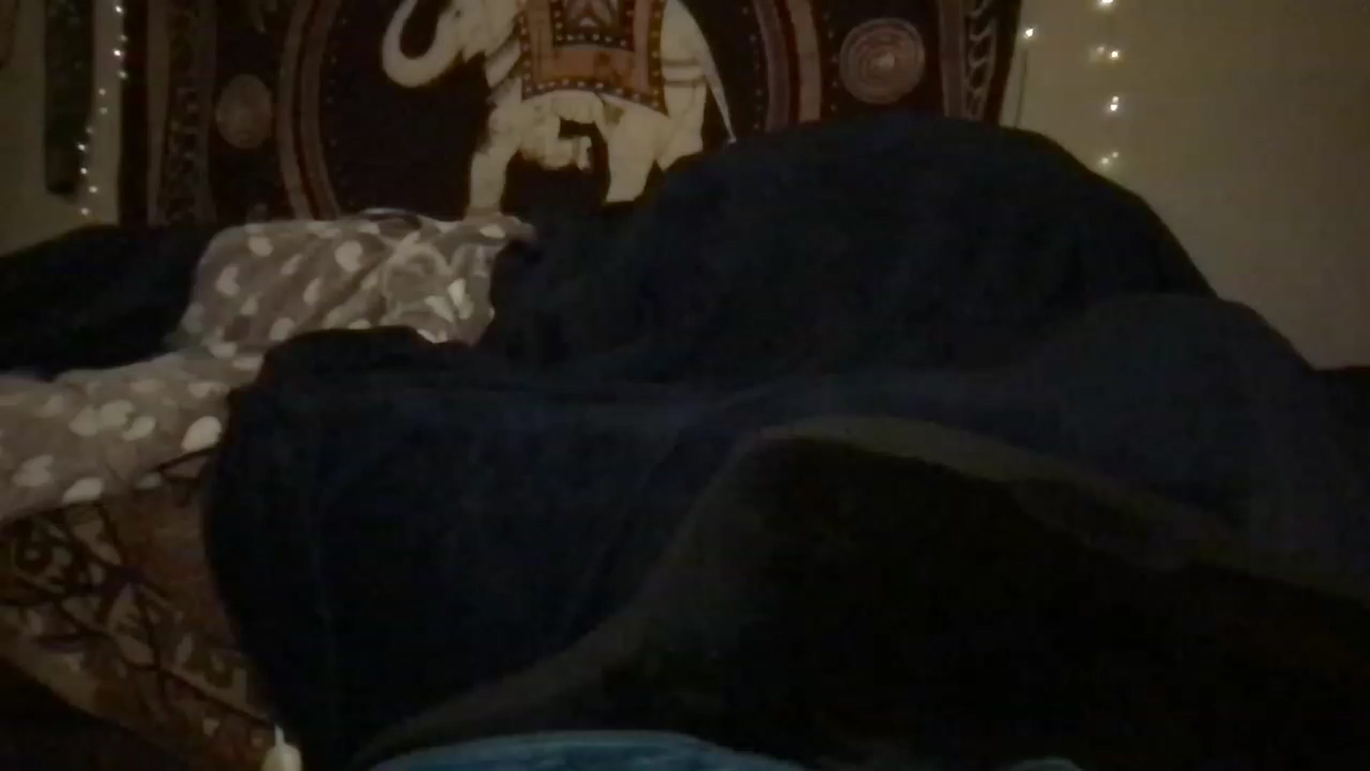 Gallery image thumbnail from Fifilarue1313's myfreecams stream on, 03/12/2023, 13:05 image 14 of 20