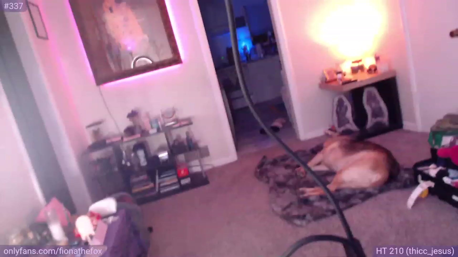 Gallery image thumbnail from Fiona's myfreecams stream on, 05/29/2023, 08:49 image 2 of 20