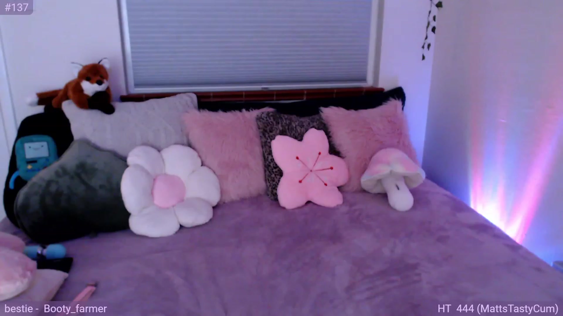Gallery image thumbnail from Fiona's myfreecams stream on, 08/04/2023, 07:41 image 6 of 20