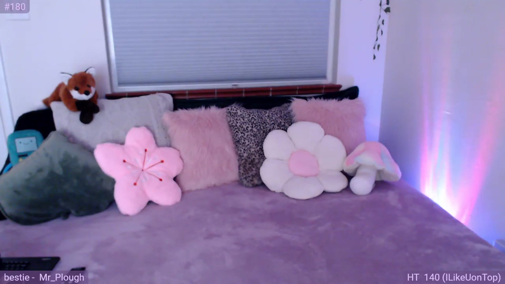 Gallery image thumbnail from Fiona's myfreecams stream on, 08/20/2023, 06:48 image 4 of 20