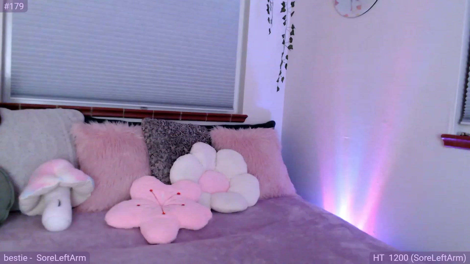 Gallery image thumbnail from Fiona's myfreecams stream on, 09/04/2023, 09:16 image 9 of 20