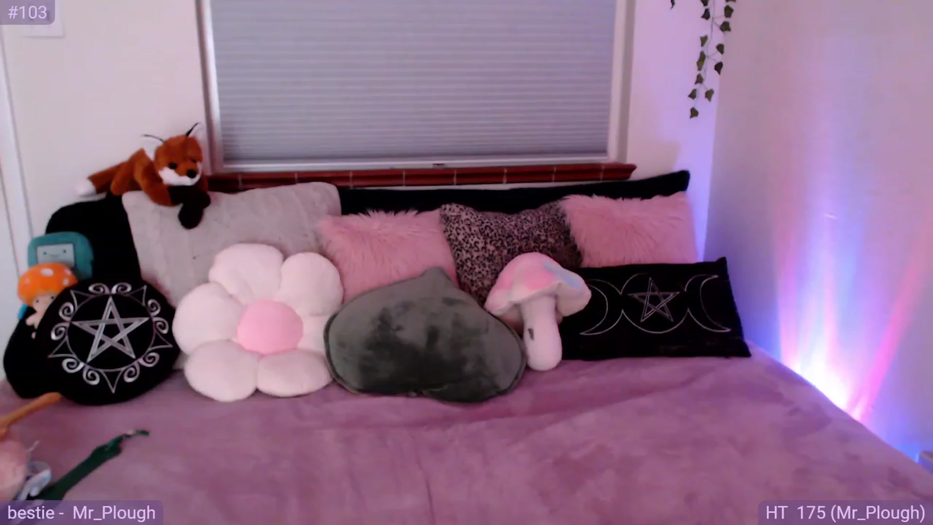 Gallery image thumbnail from Fiona's myfreecams stream on, 10/27/2023, 09:20 image 7 of 20