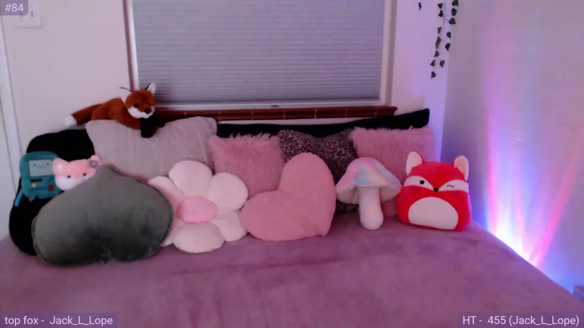 Gallery image thumbnail from Fiona's myfreecams stream on, 12/05/2023, 07:17 image 12 of 20