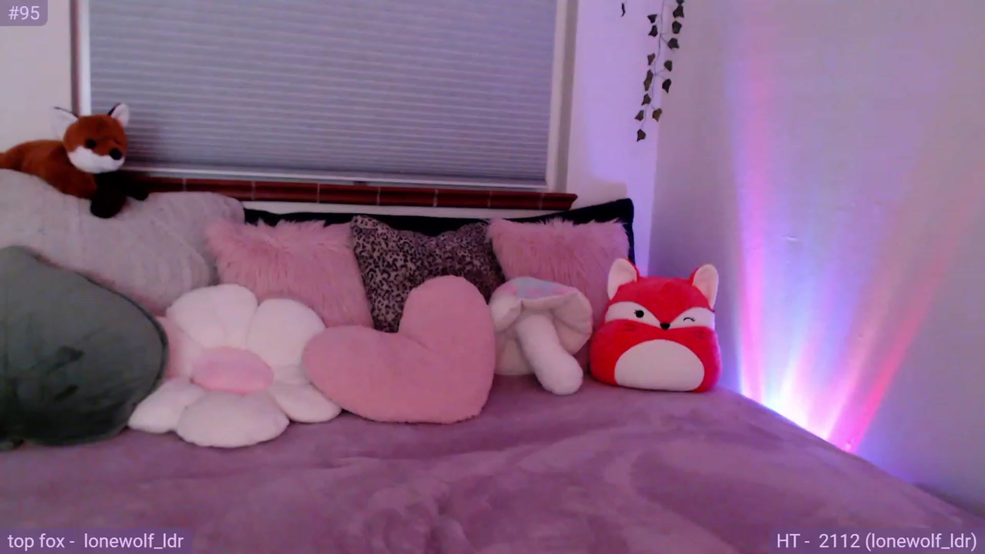 Gallery image thumbnail from Fiona's myfreecams stream on, 12/08/2023, 09:18 image 14 of 20