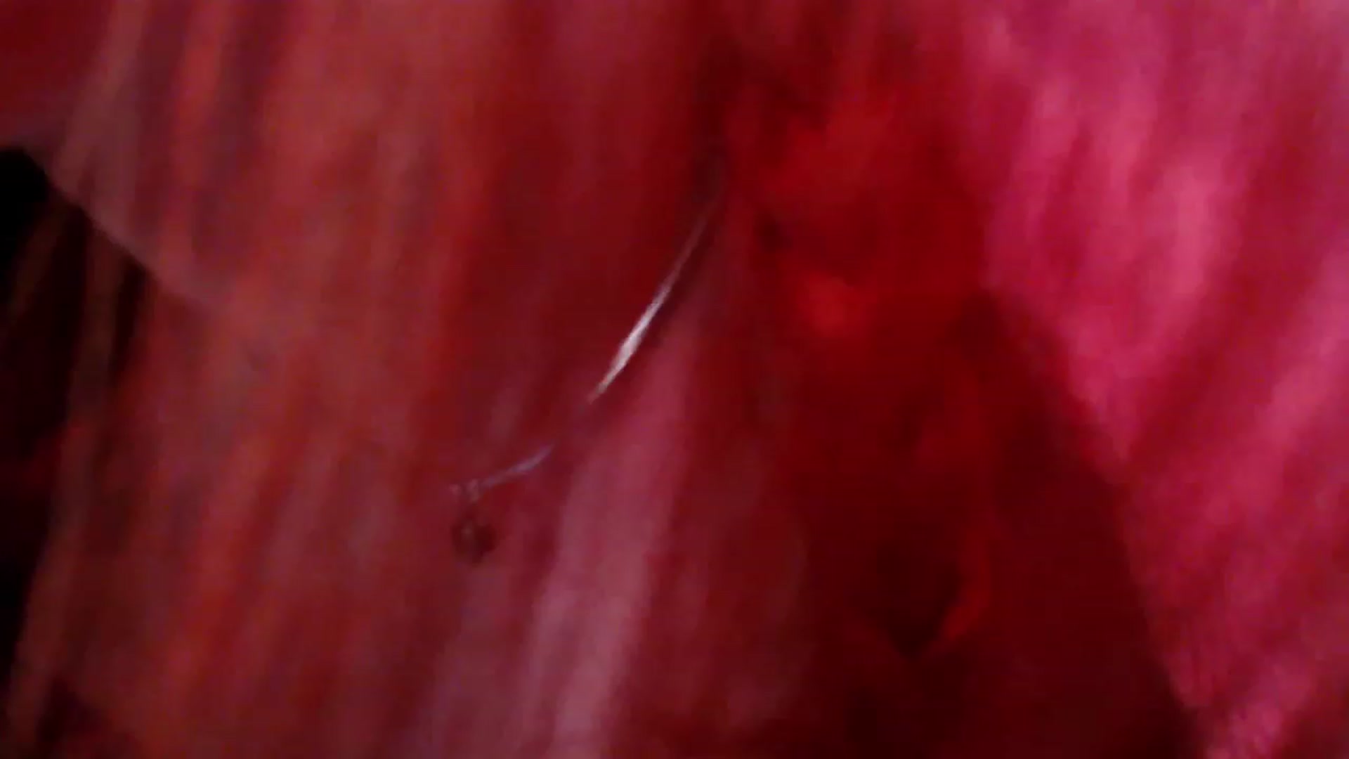 Gallery image thumbnail from Fiona's myfreecams stream on, 12/09/2023, 11:56 image 5 of 20