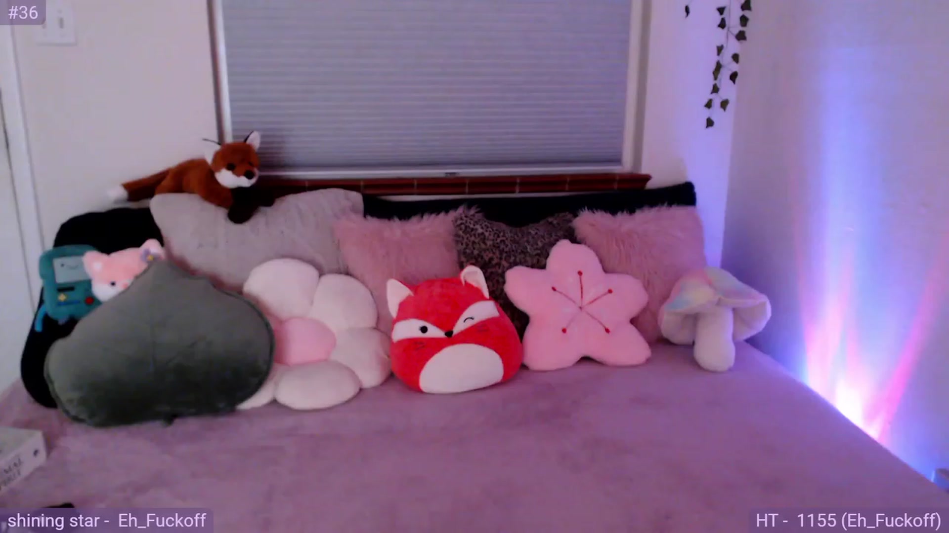 Gallery image thumbnail from Fiona's myfreecams stream on, 01/03/2024, 06:34 image 15 of 20