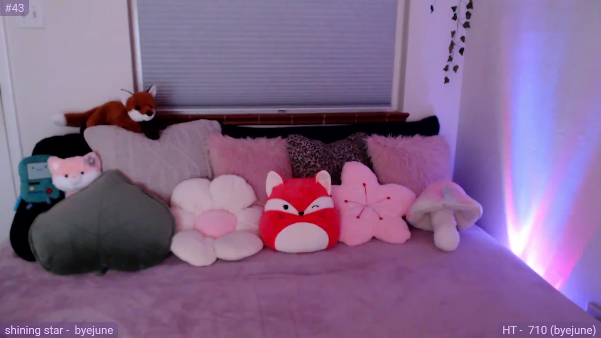 Gallery image thumbnail from Fiona's myfreecams stream on, 01/07/2024, 07:17 image 6 of 20