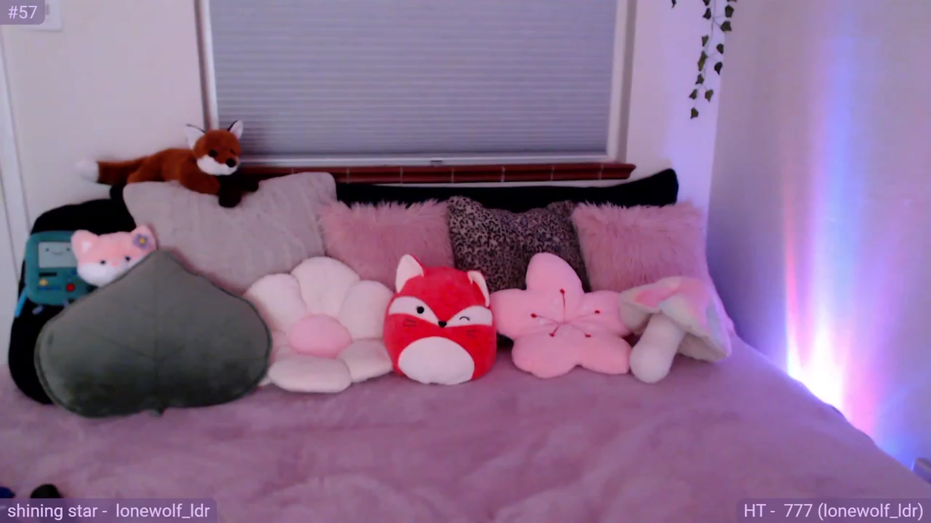 Gallery image thumbnail from Fiona's myfreecams stream on, 01/12/2024, 09:17 image 11 of 20
