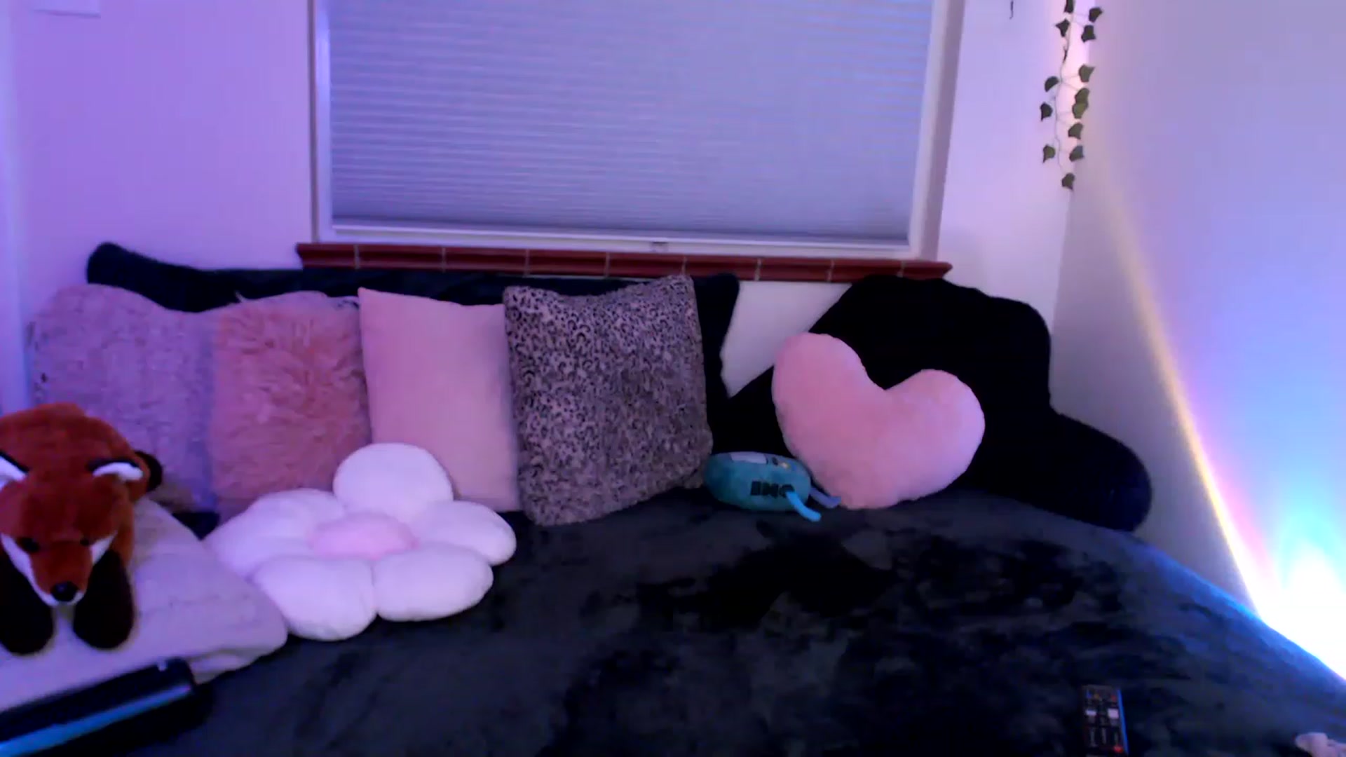 Gallery image thumbnail from FionaTheFox's myfreecams stream on, 02/25/2023, 10:29 image 10 of 20