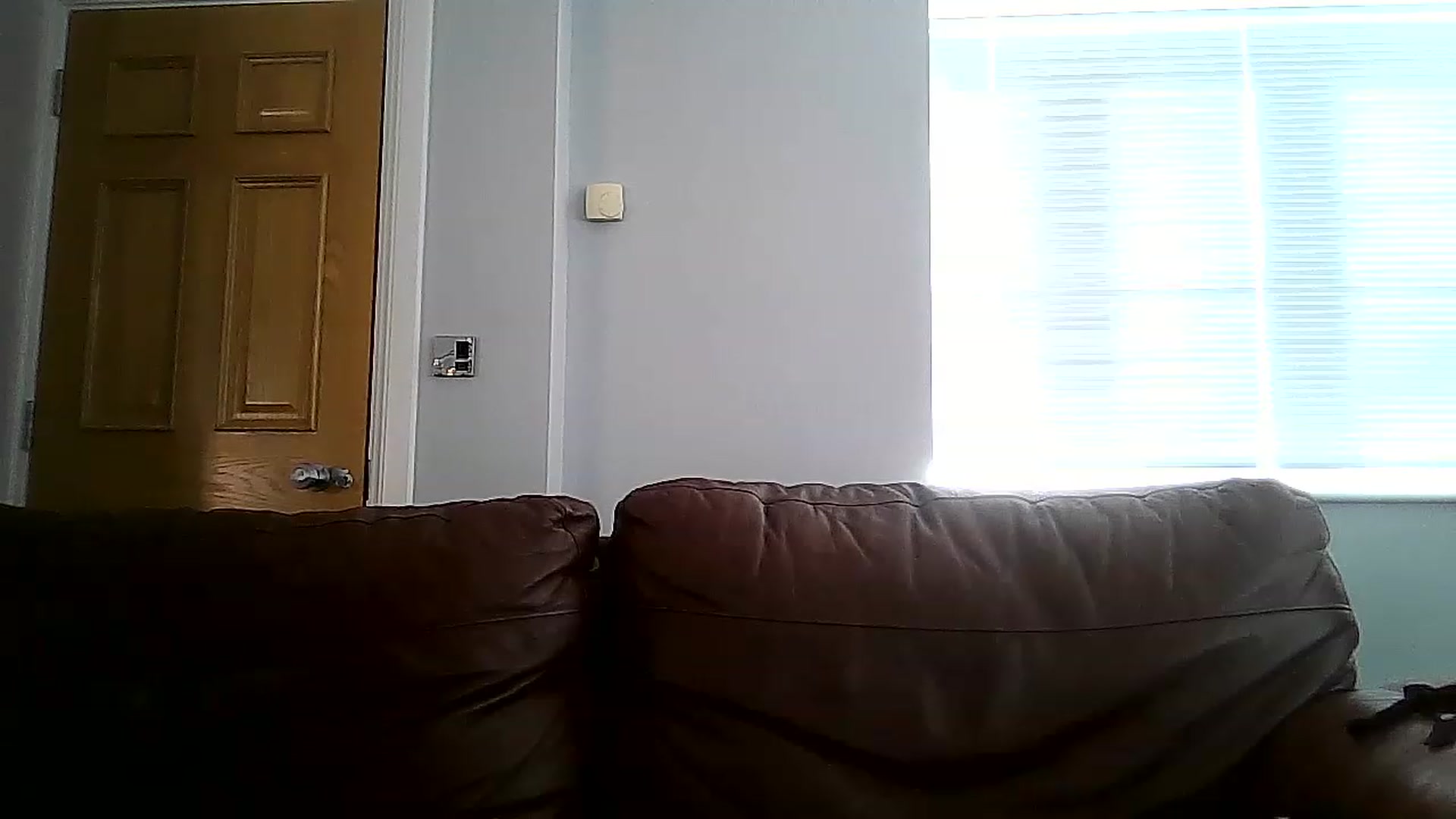 Gallery image thumbnail from FitBaby's myfreecams stream on, 03/17/2023, 15:17 image 10 of 20