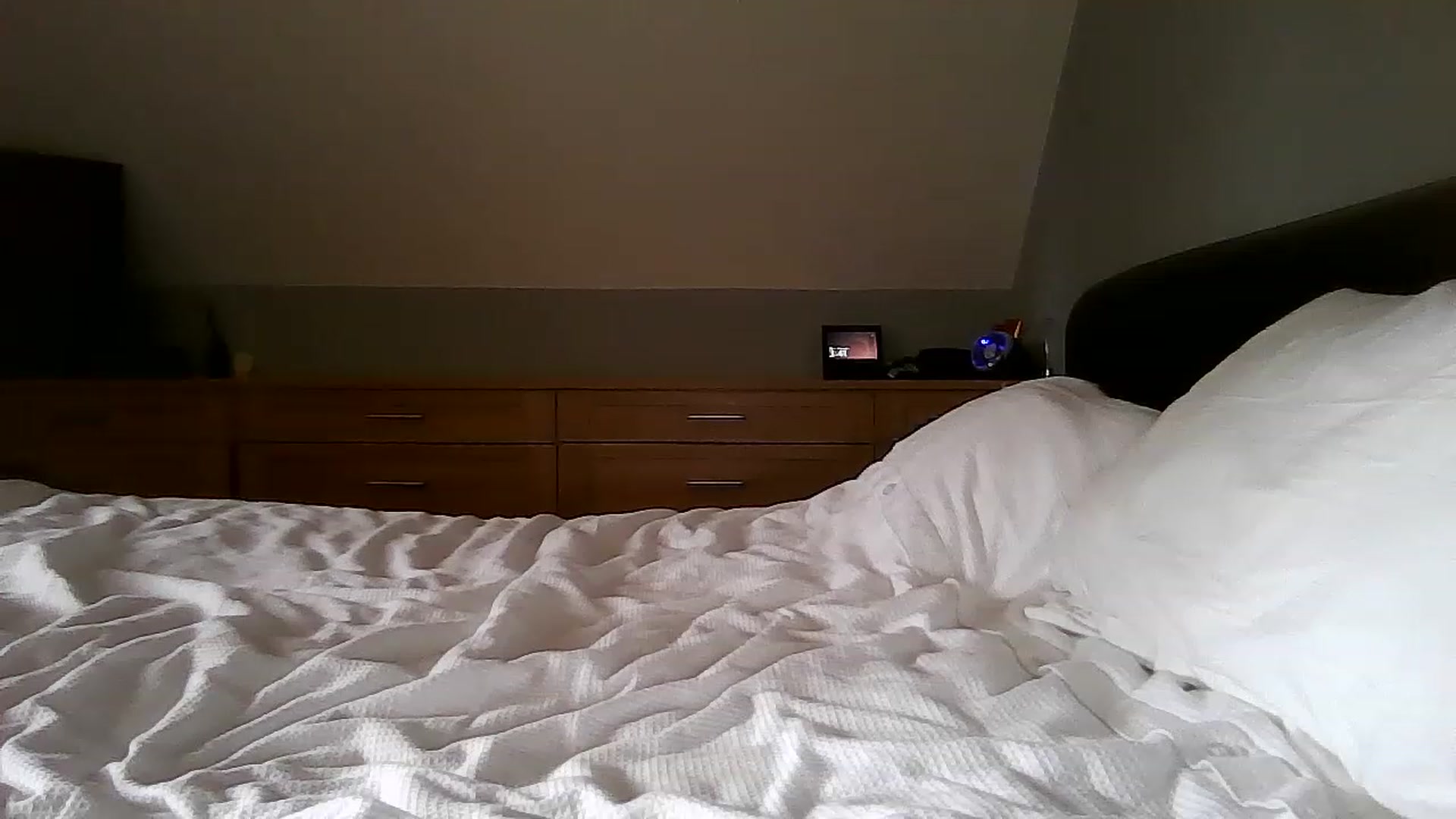 Gallery image thumbnail from FitBaby's myfreecams stream on, 04/24/2023, 15:13 image 4 of 20