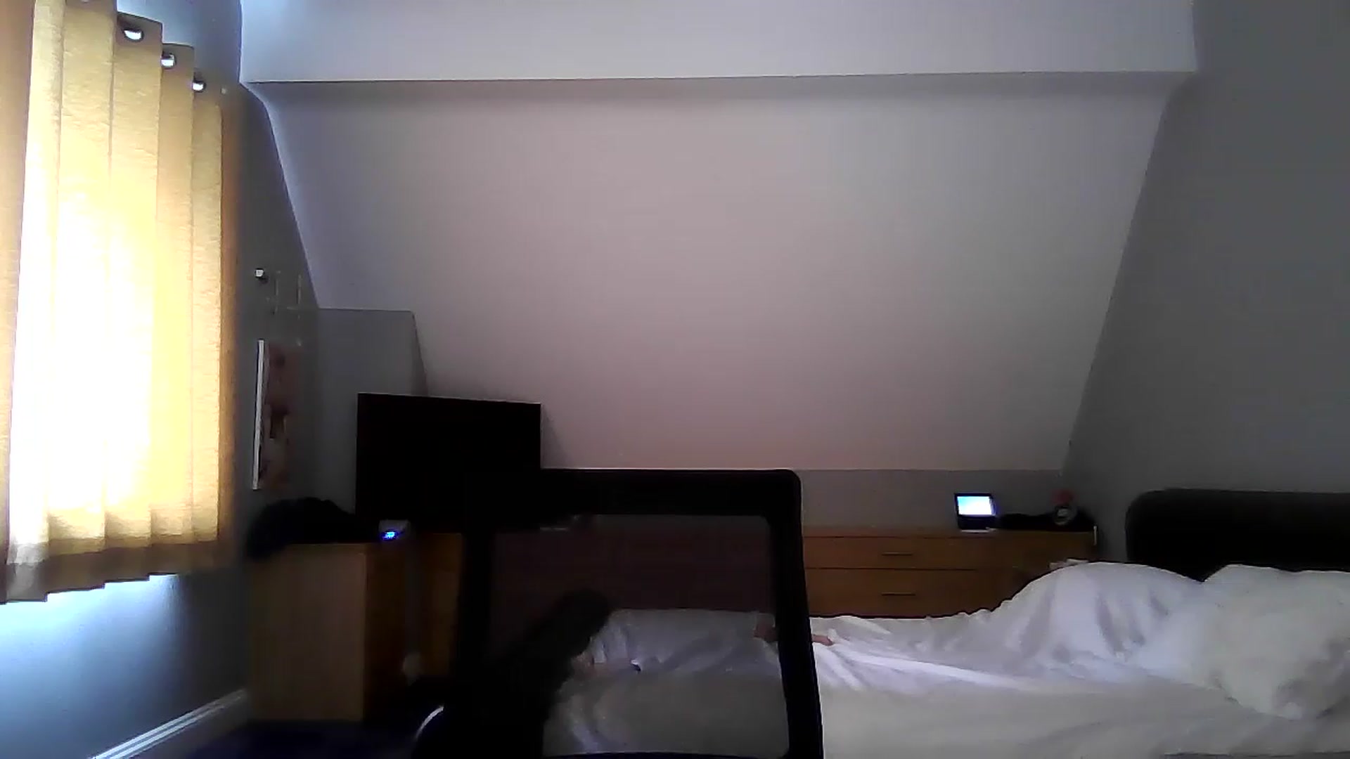 Gallery image thumbnail from FitBaby's myfreecams stream on, 06/28/2023, 14:40 image 15 of 20